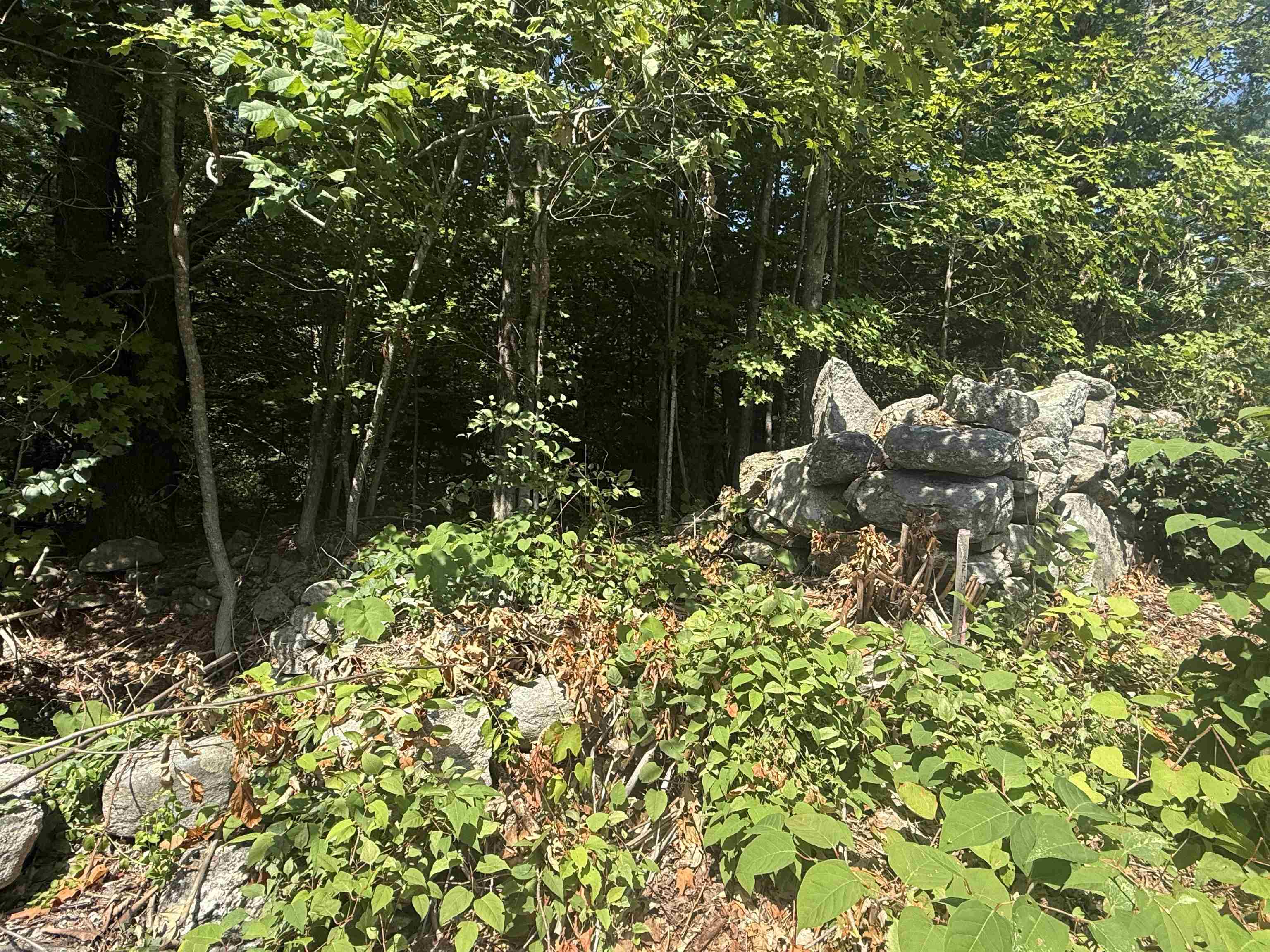 Lot 51-5-2 Ball Hill Rd, Milford, NH 03055