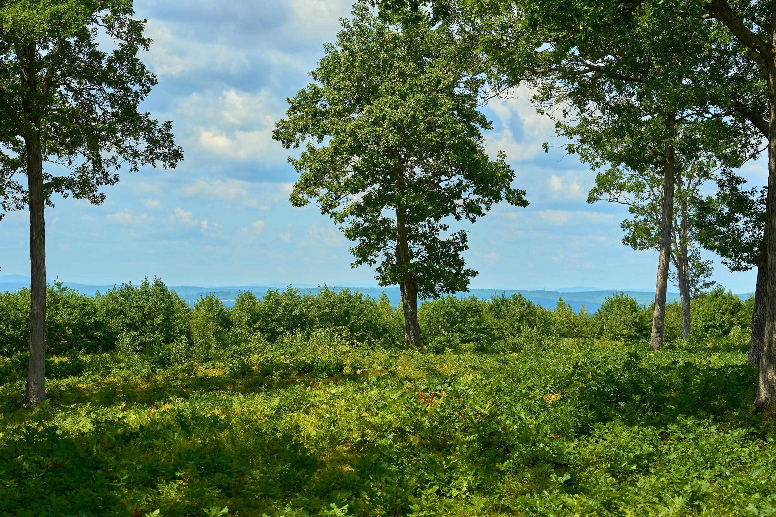 664 Borough Rd, Pembroke, NH 03275