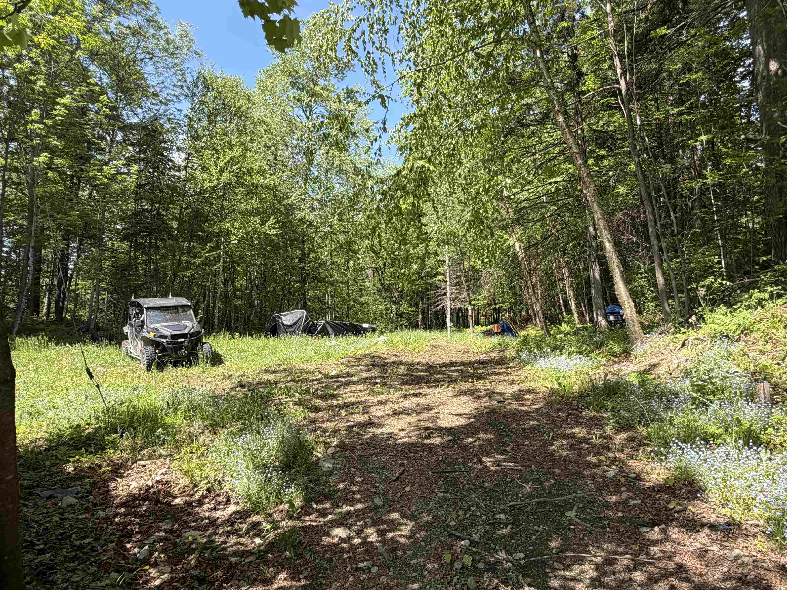 7 Pine Rd, Milan, NH 03588