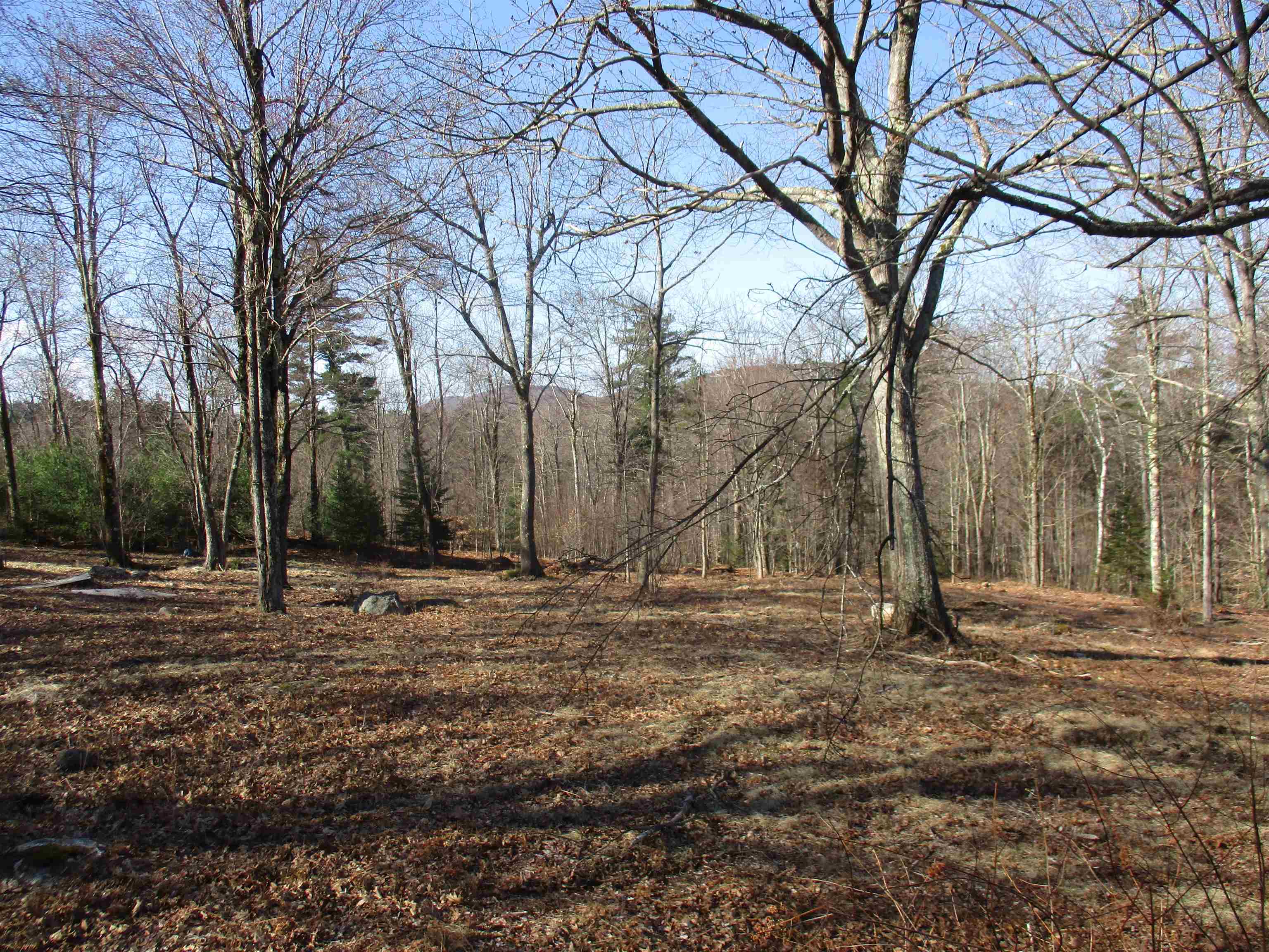 100 Wildcat Hill Rd, New Ipswich, NH 03071