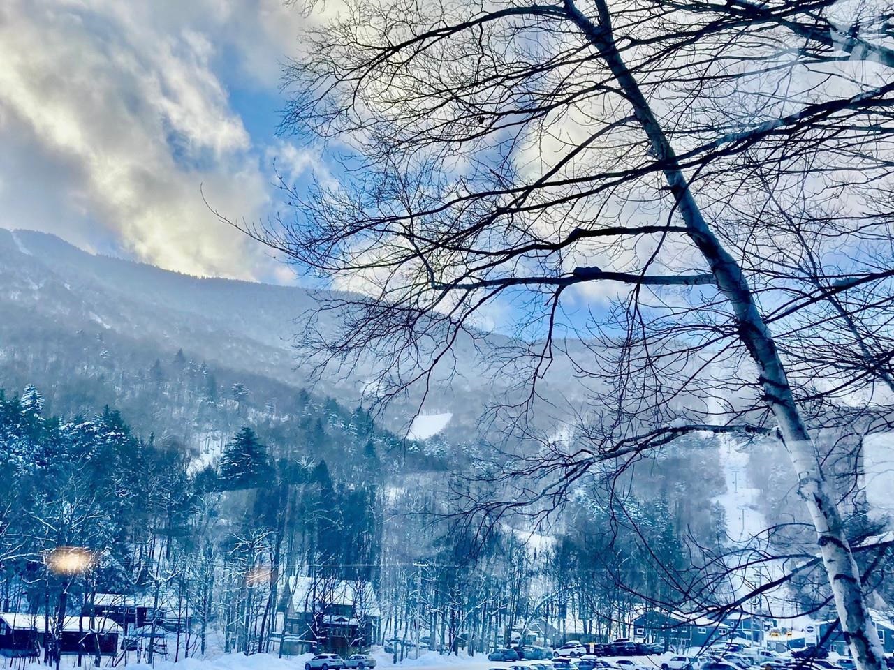 Winter views