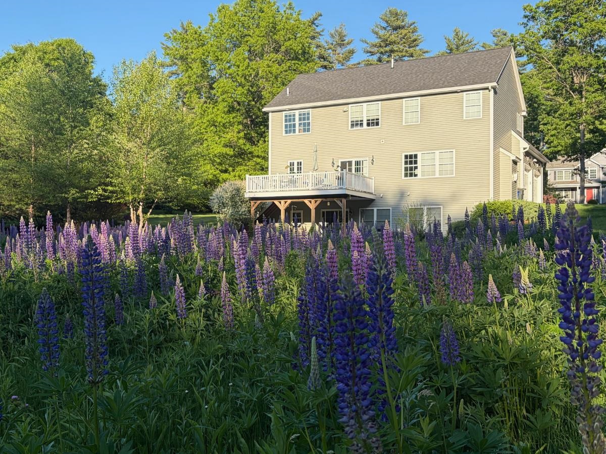 12 Alexander Rd, Londonderry, NH 03053