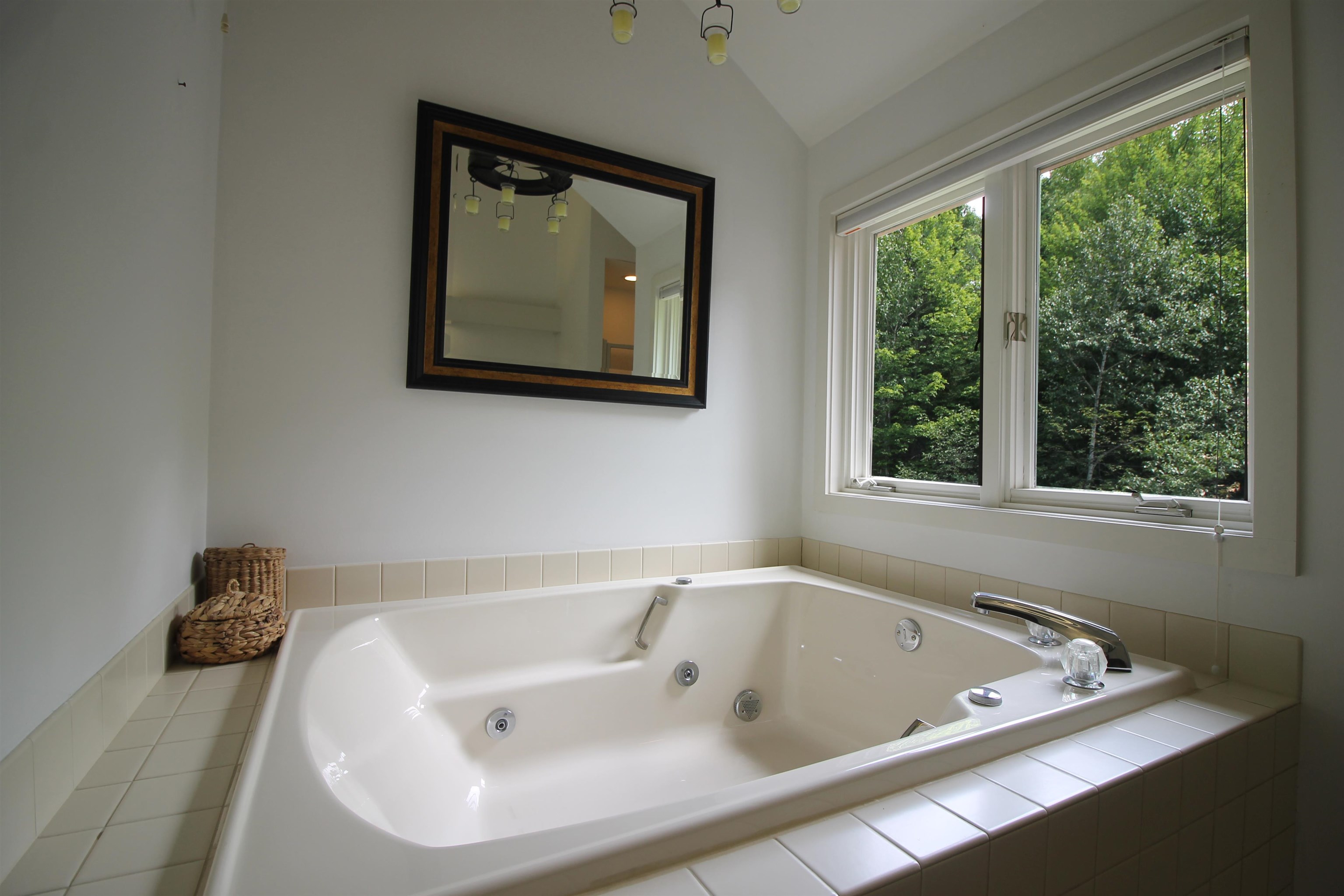 Jetted tub with a private view!