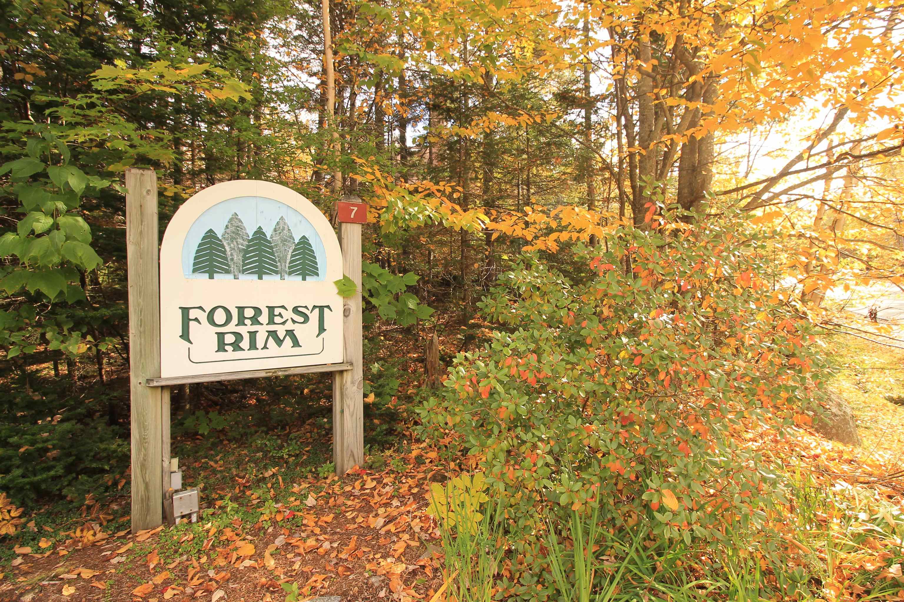 22 Bobcat Way #2, Waterville Valley, NH 03215