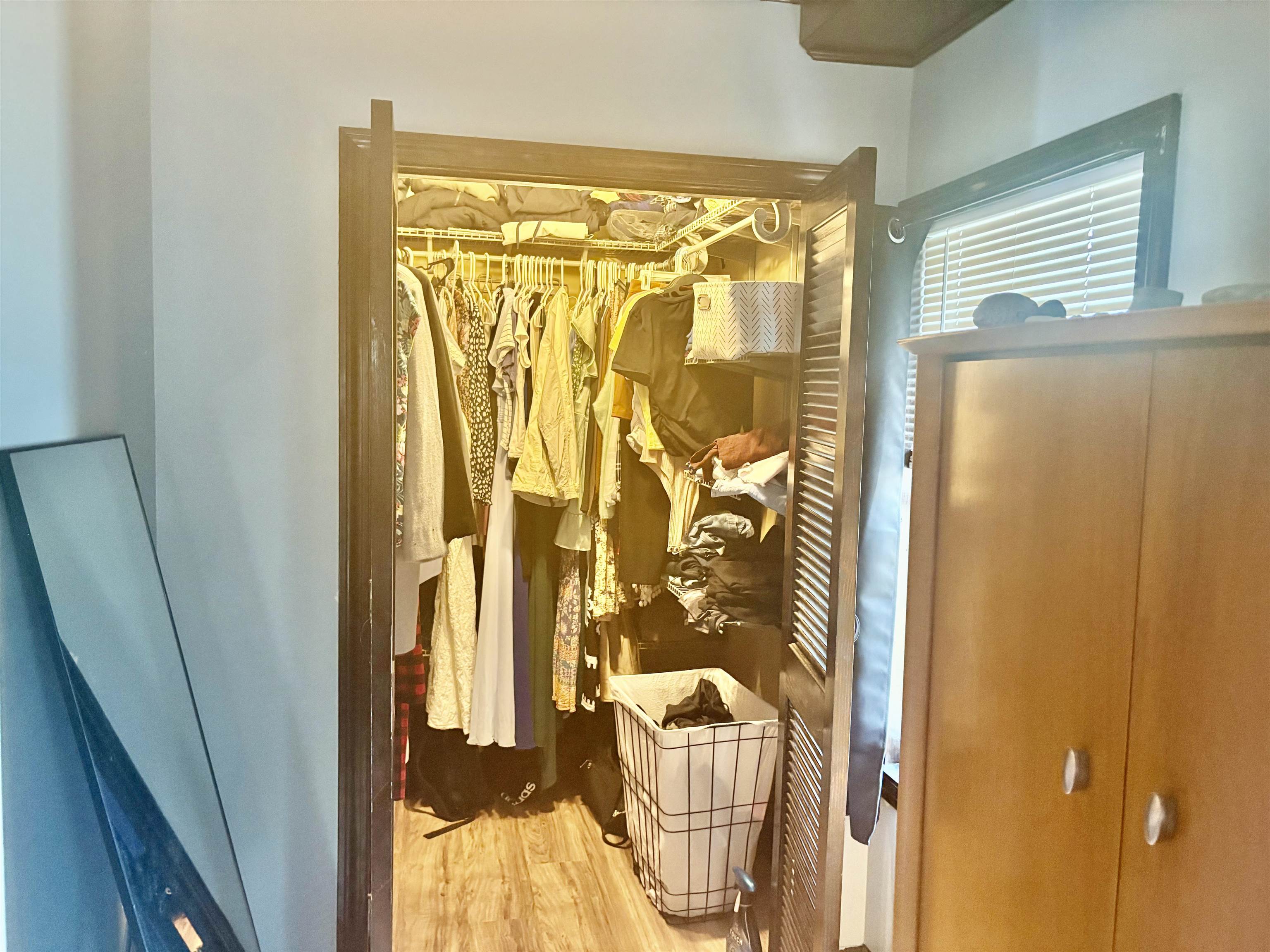 Walk-In Closet 25993565