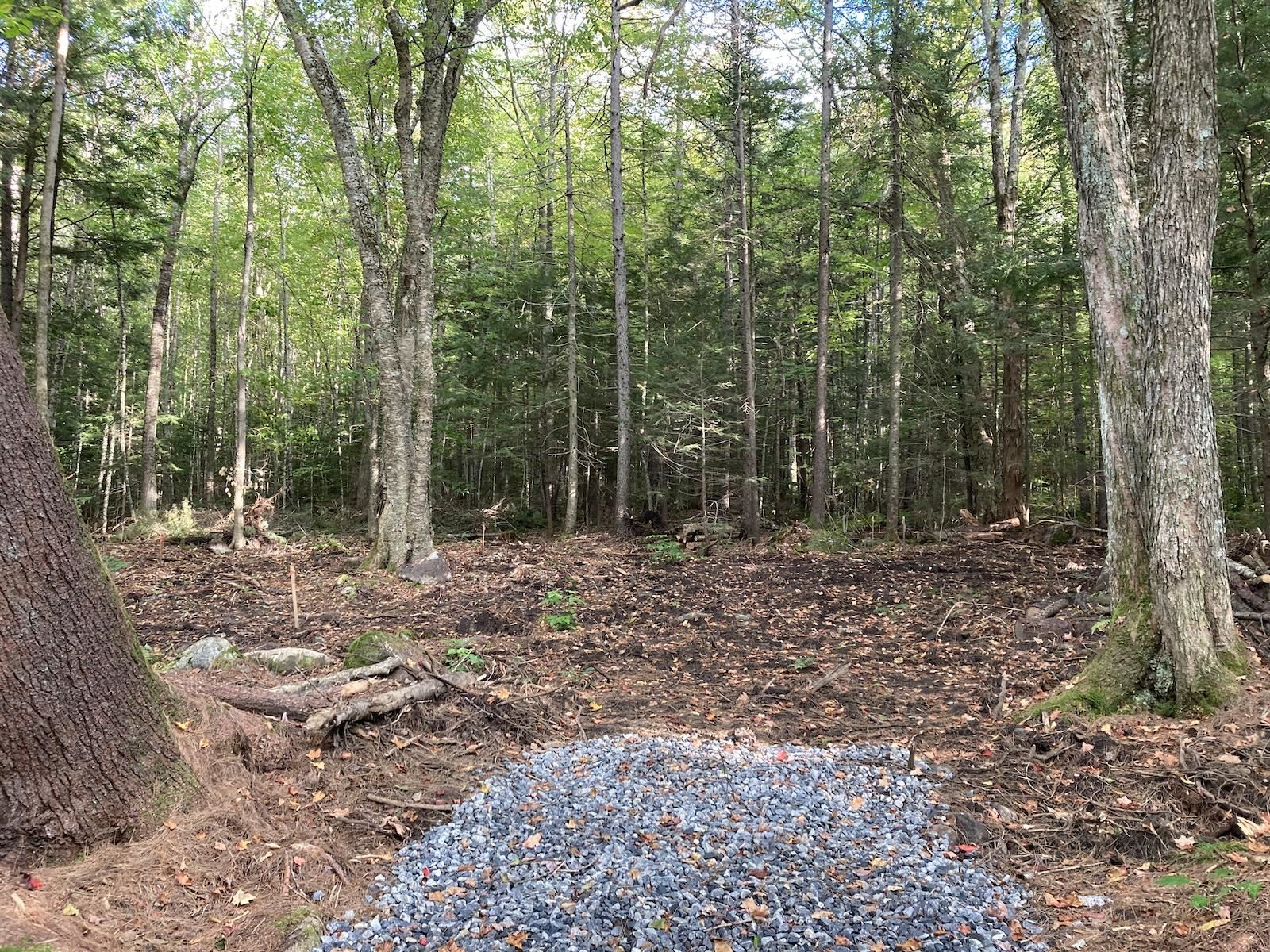 905 Nh Route 118, Groton, NH 03266