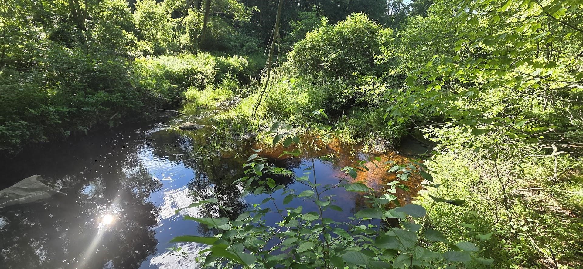 Map 101 Lot 18 Berry River Rd, Barrington, NH 03825