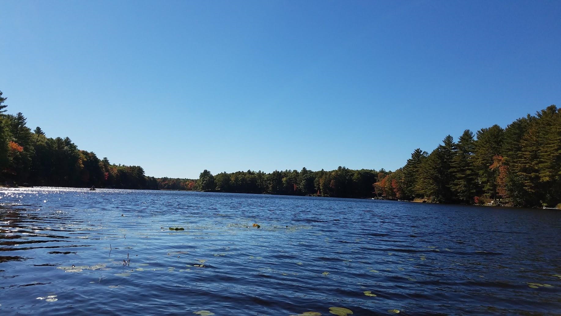 Map 101 Lot 18 Berry River Rd, Barrington, NH 03825