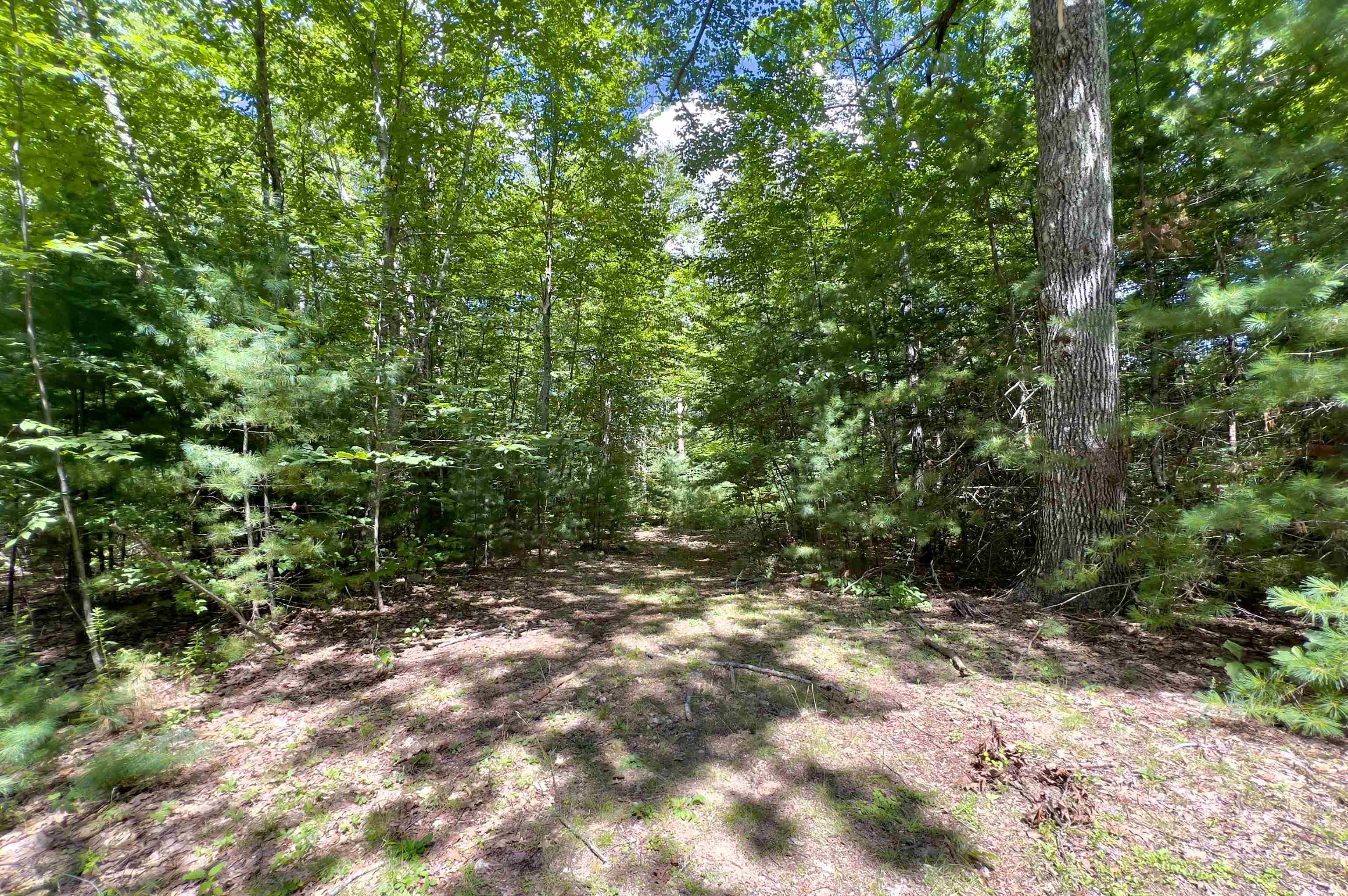 5 Partridge Pa, Sandown, NH 03873