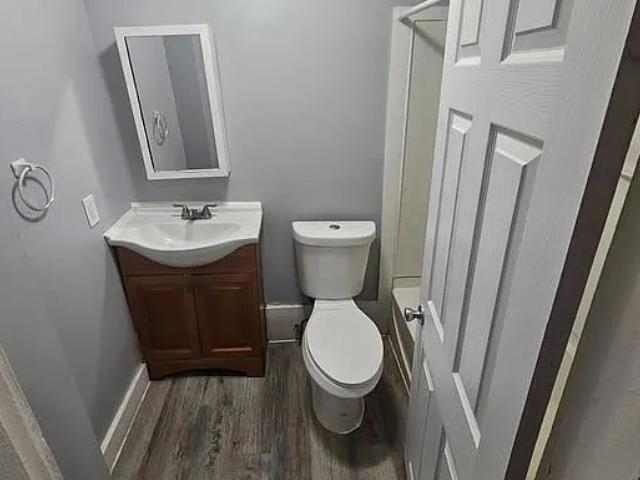  26003781