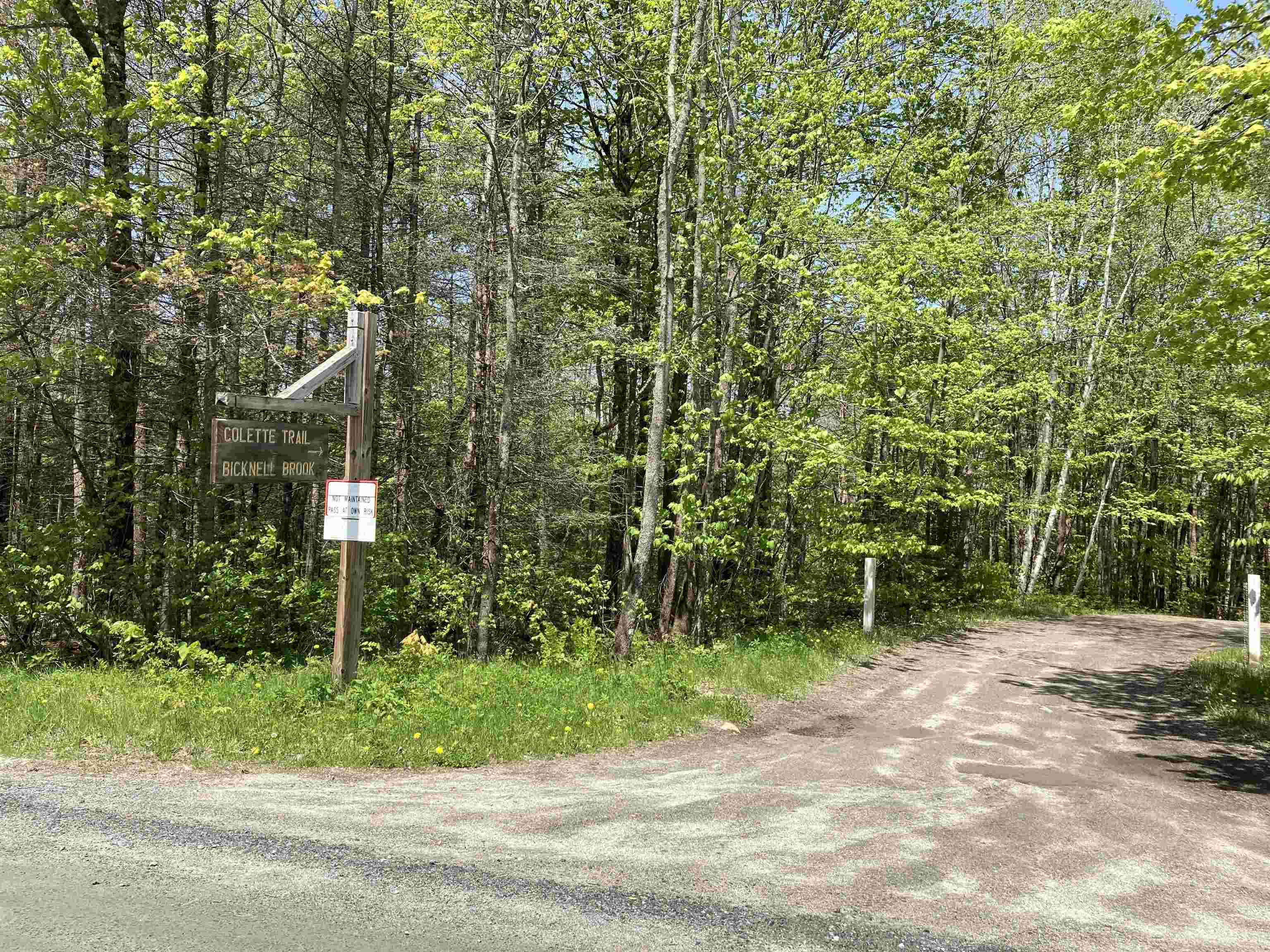 Lot 4 Nh Route 4a, Grafton, NH 03240
