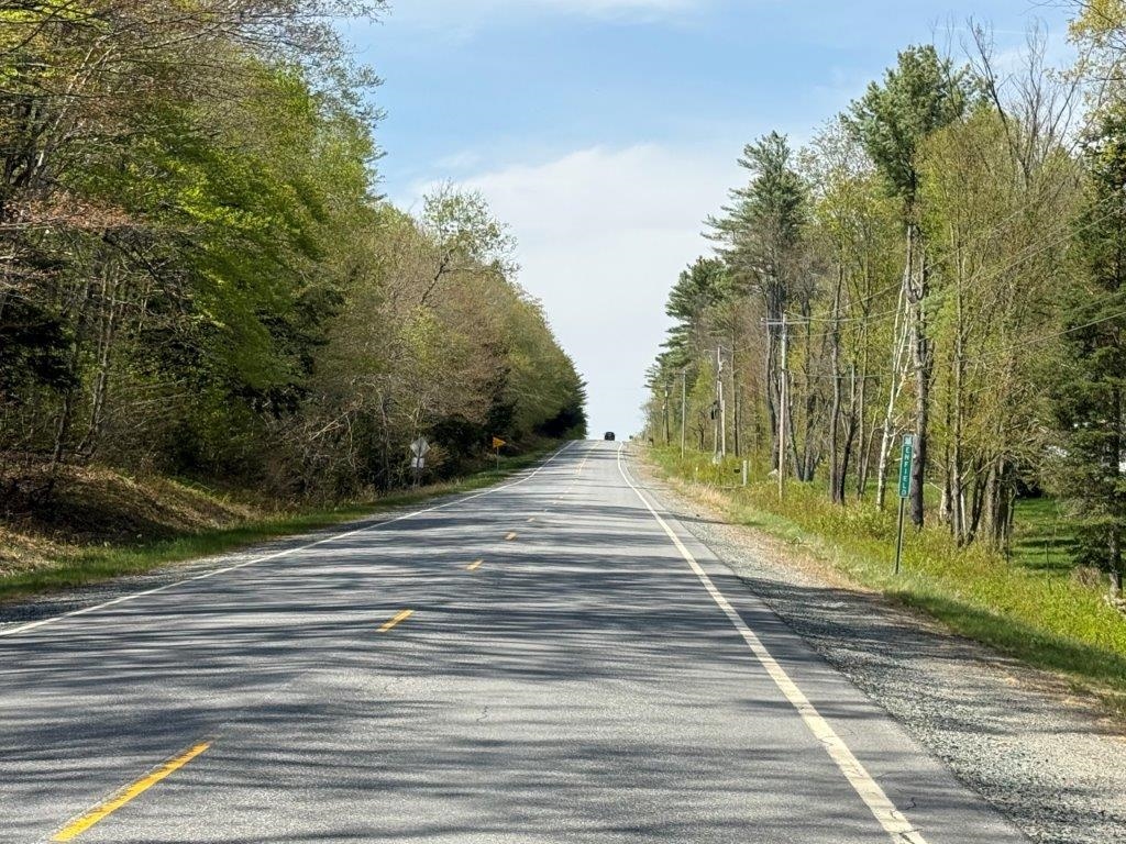  26003853