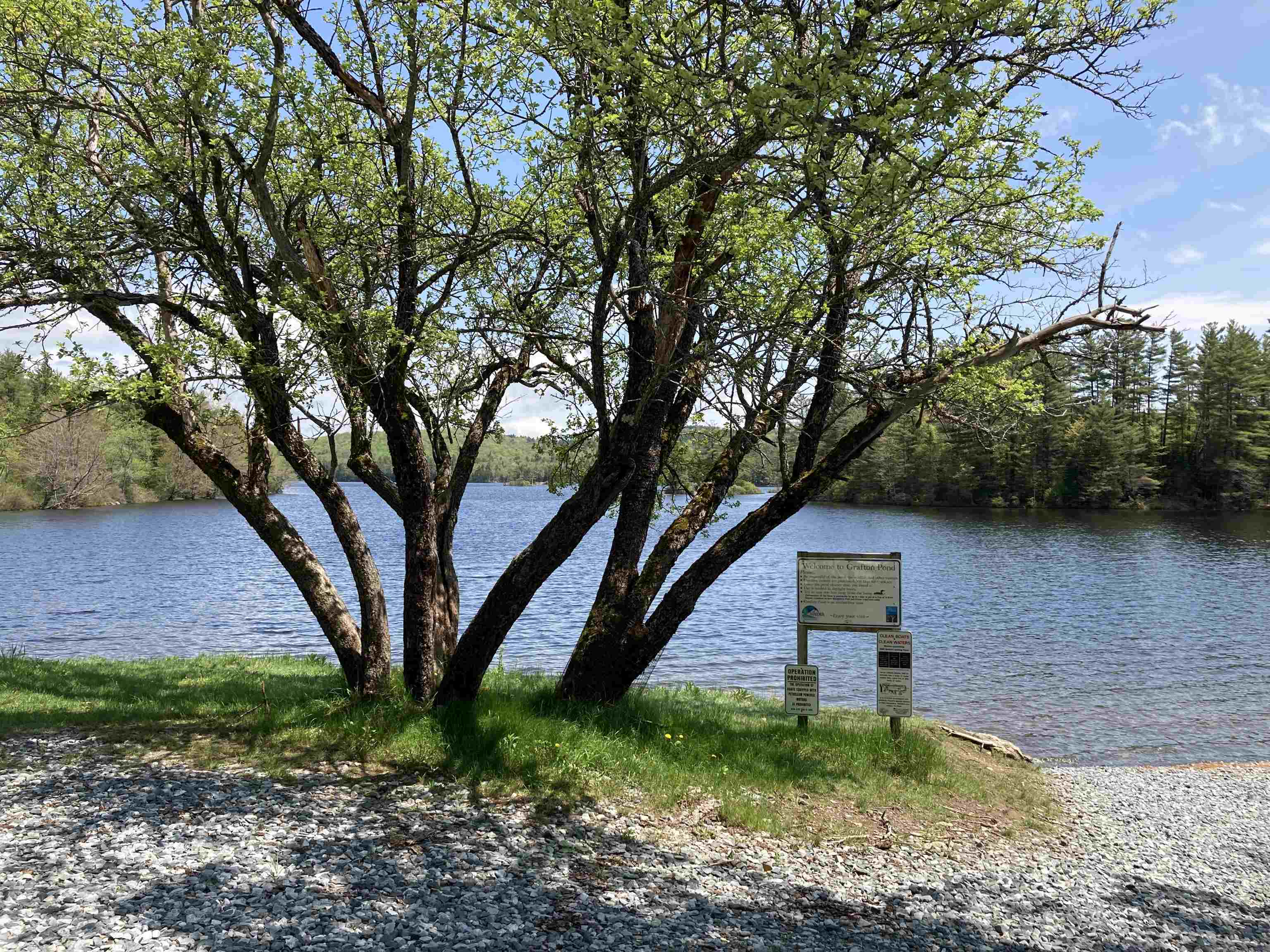 Lot 4 Nh Route 4a, Grafton, NH 03240