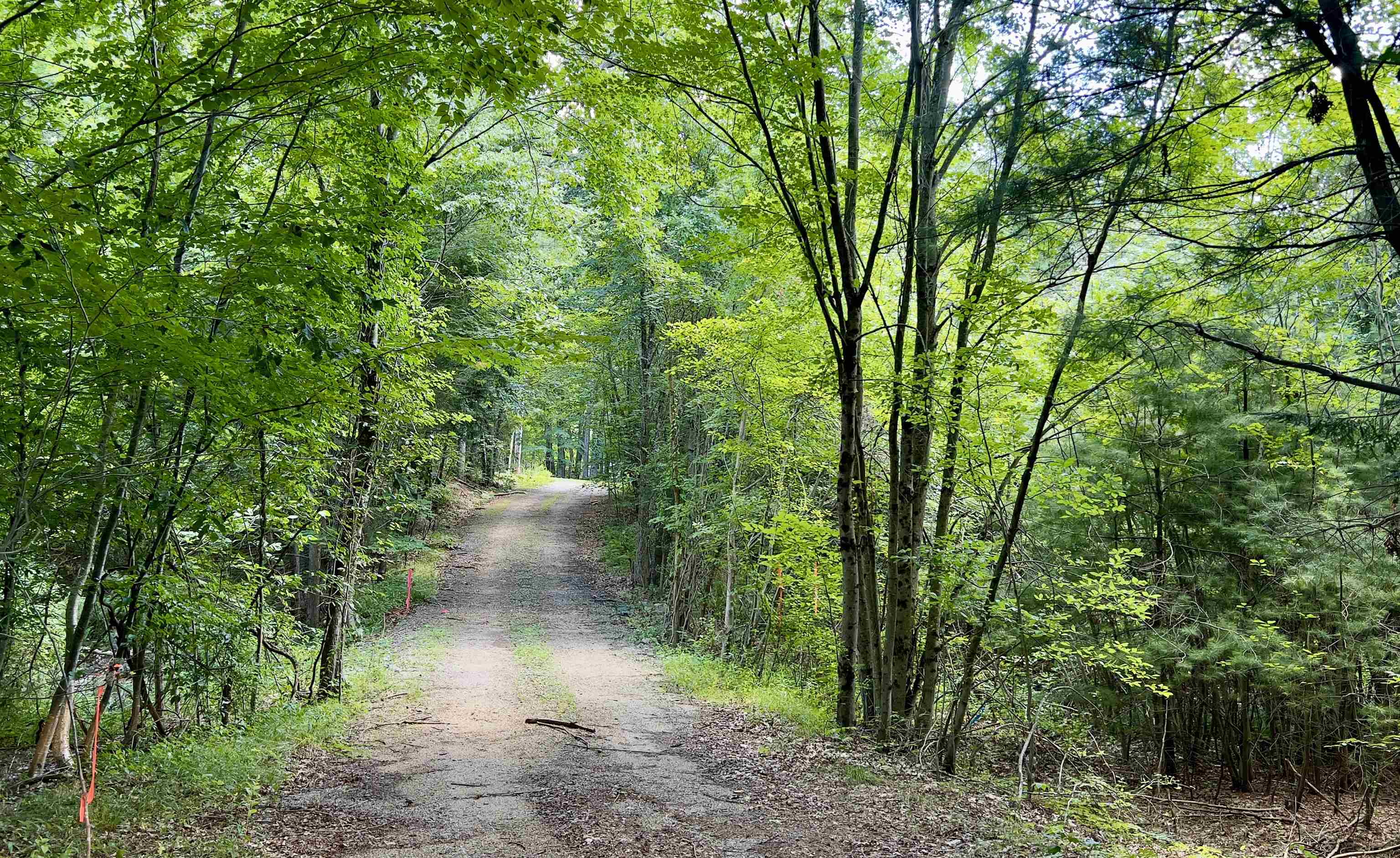 9 Partridge Pa, Sandown, NH 03873