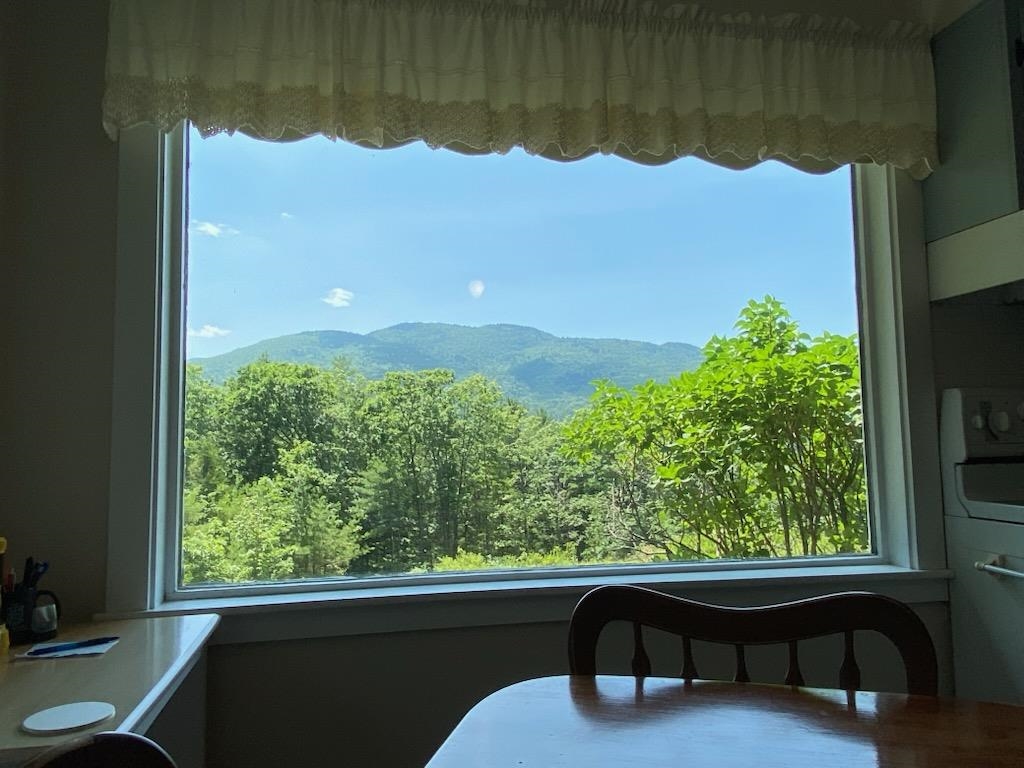 From the kitchen table 26001943