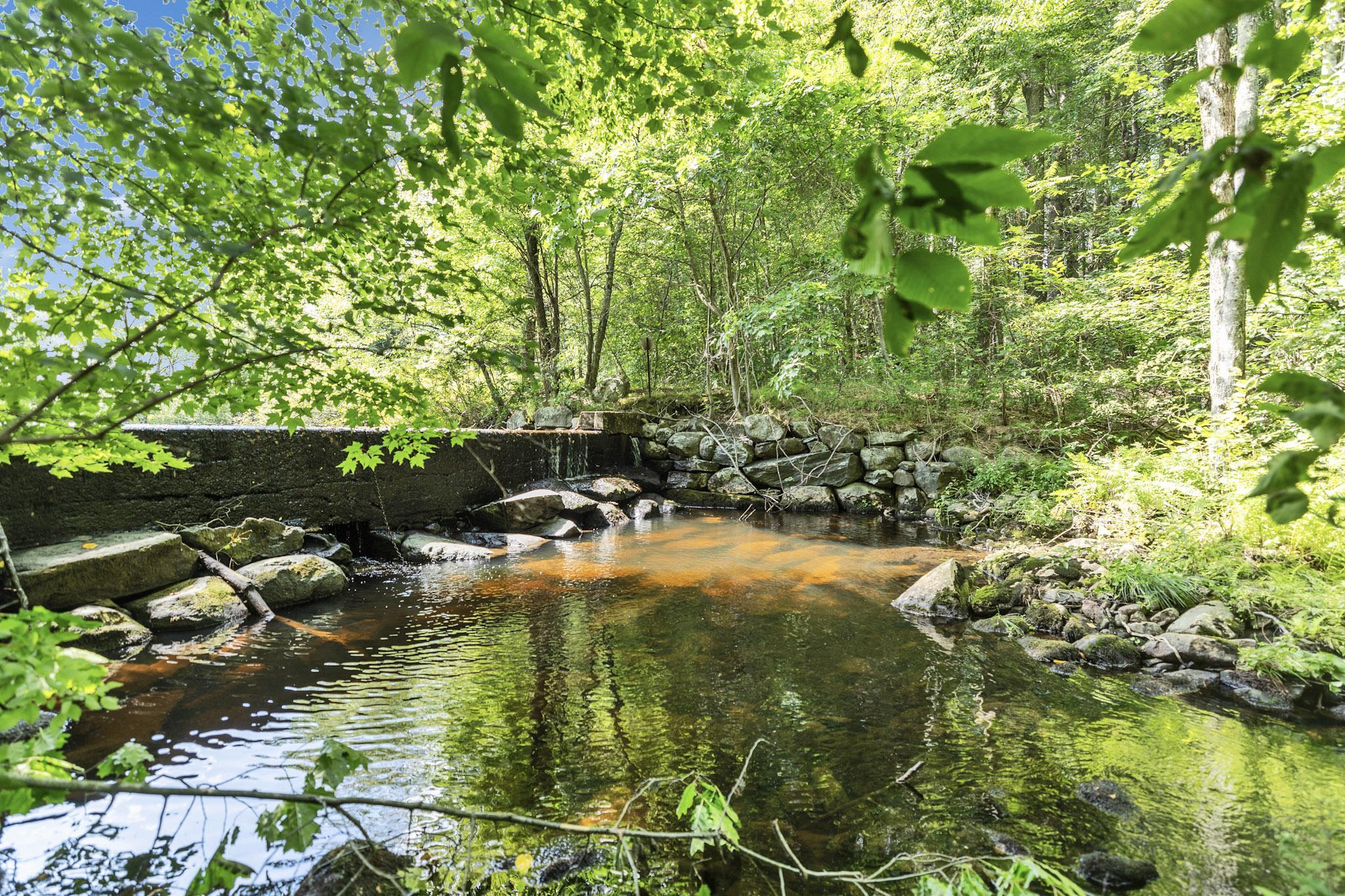 Dam in the brook