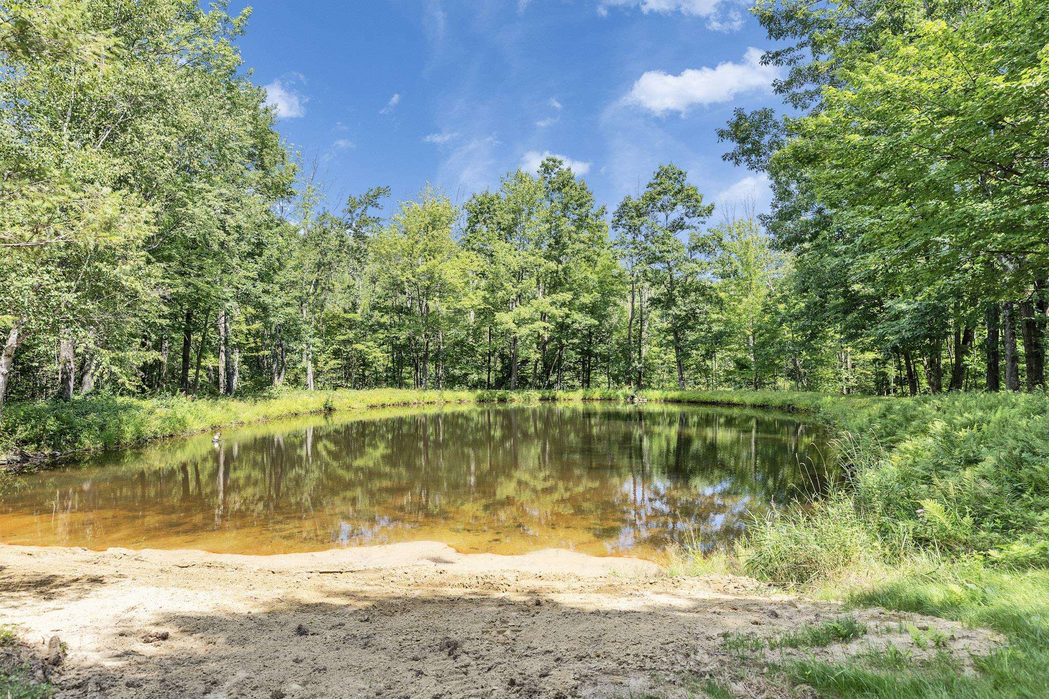 Swimming pond with sandy beach