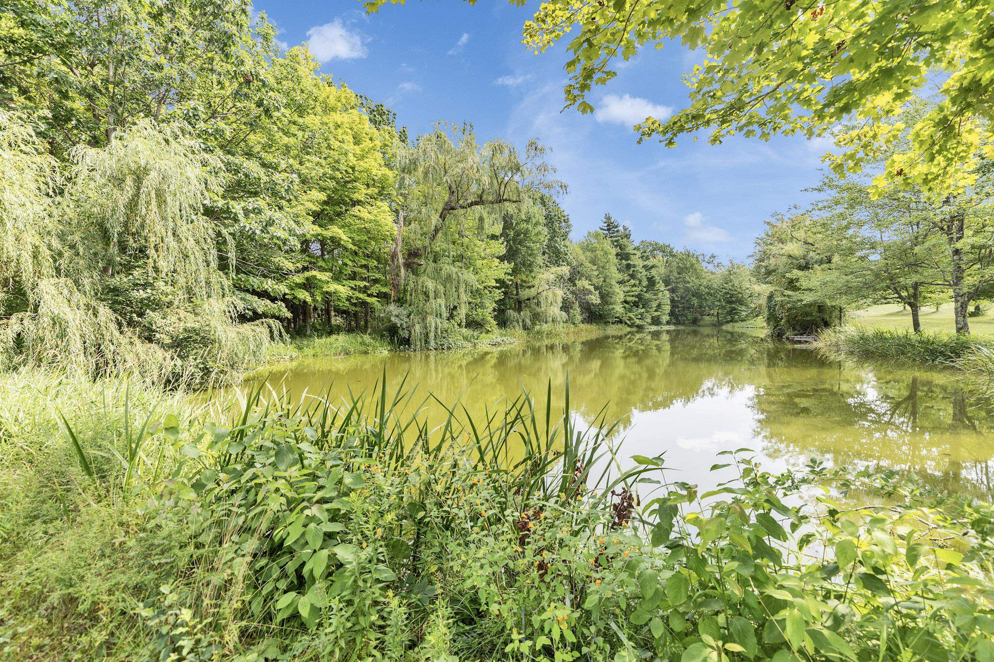 Upper trout pond