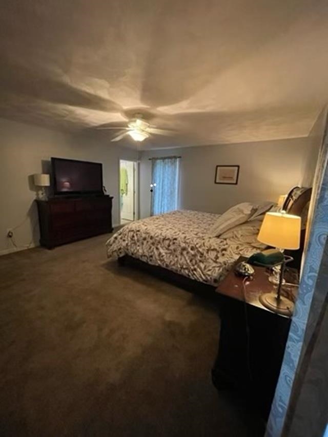Photo 11 of 24