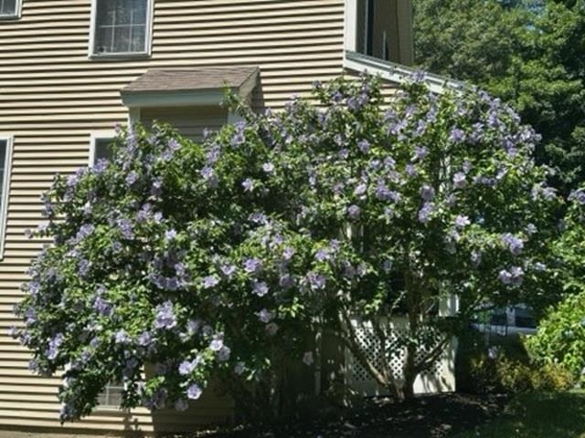Photo 23 of 24