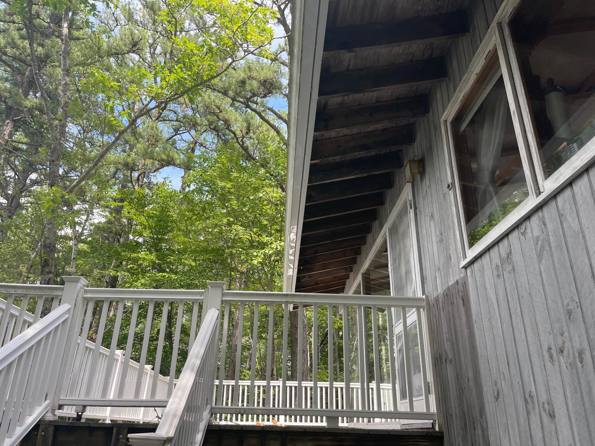THERE ARE STAIRS OFF THE DECK TO THE WATER WHICH CAN BE ACCESSED WITH TWO PATHS.
