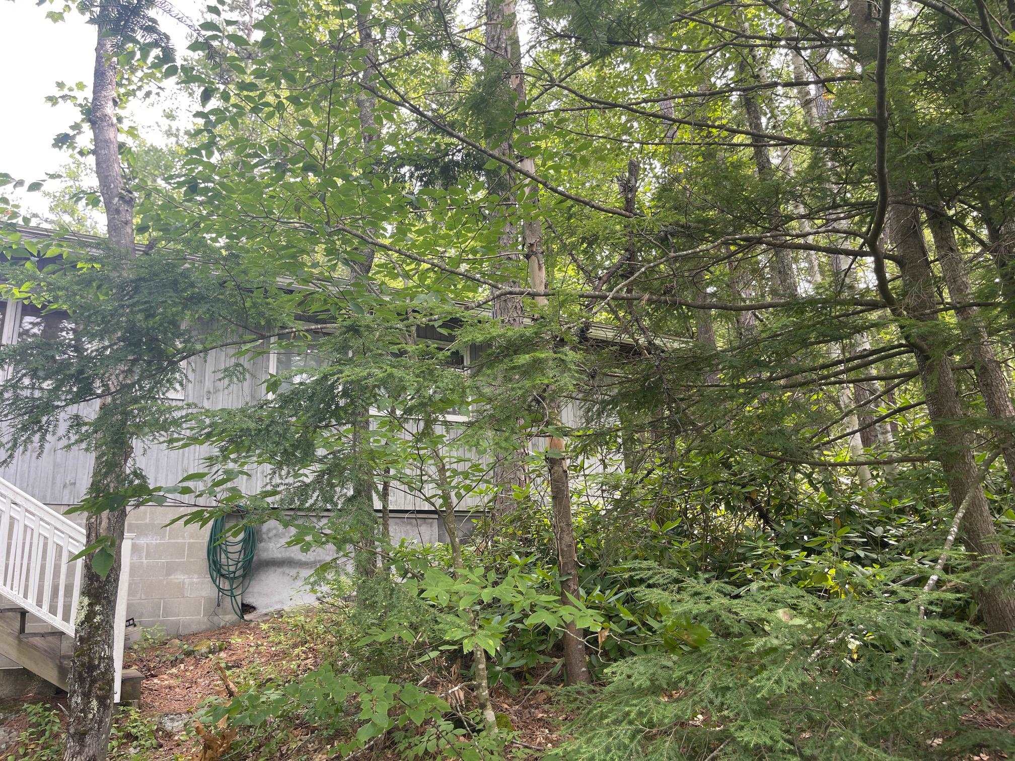 THE LOT IS WOODED AND OVERGROWN AND DOES NEED EXTERIOR MAINTENANCE.
