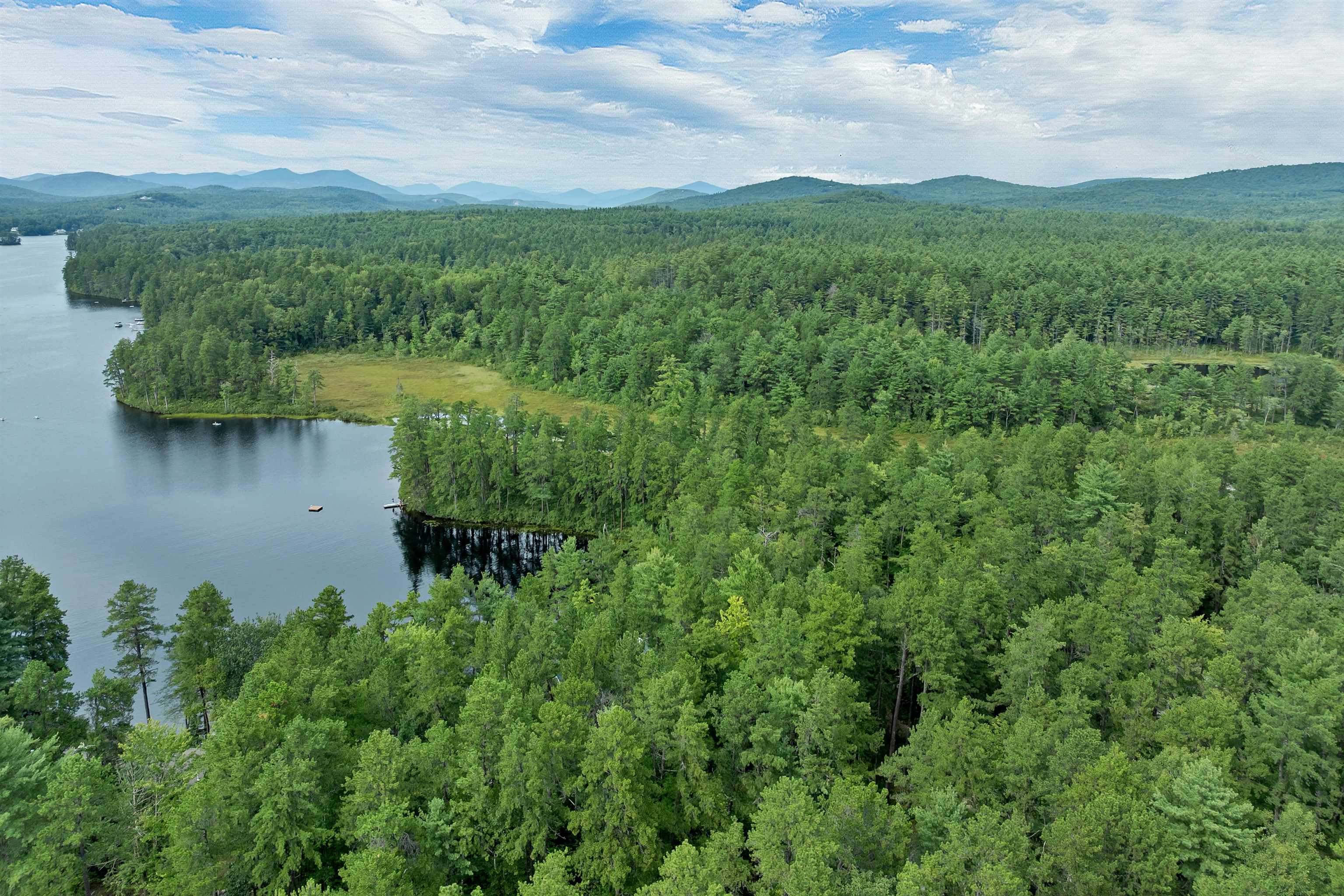 IT IS AN EASY KAYAK RIDE TO COOKS POND WITH THE BEAVER BOGS, THE LILY PADS AND NATURE.