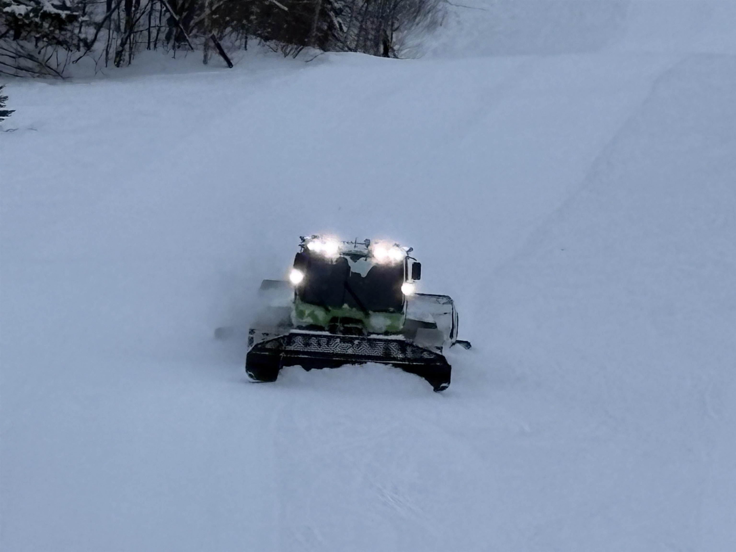 Snow Cat