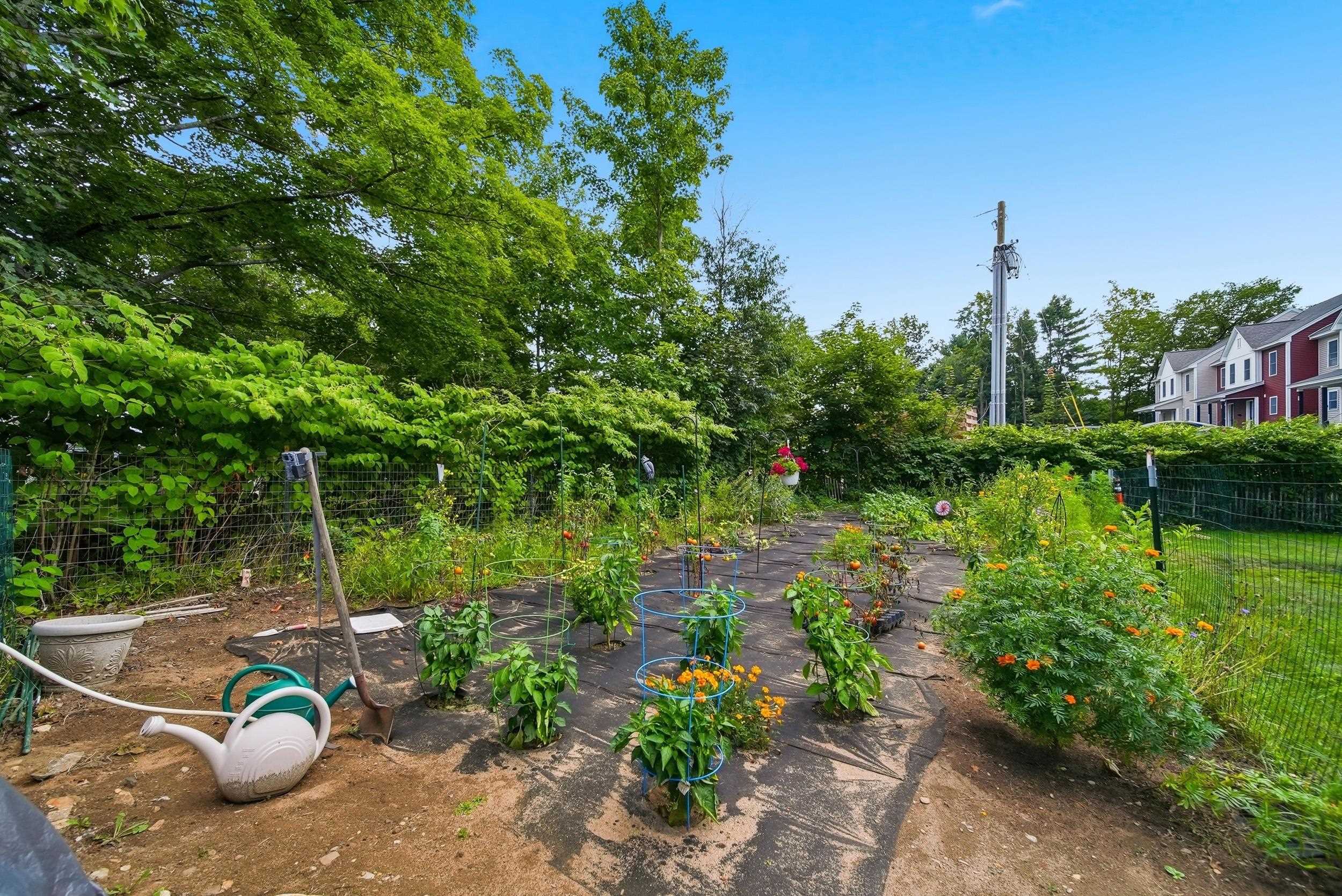 Vegetable & wildflower garden