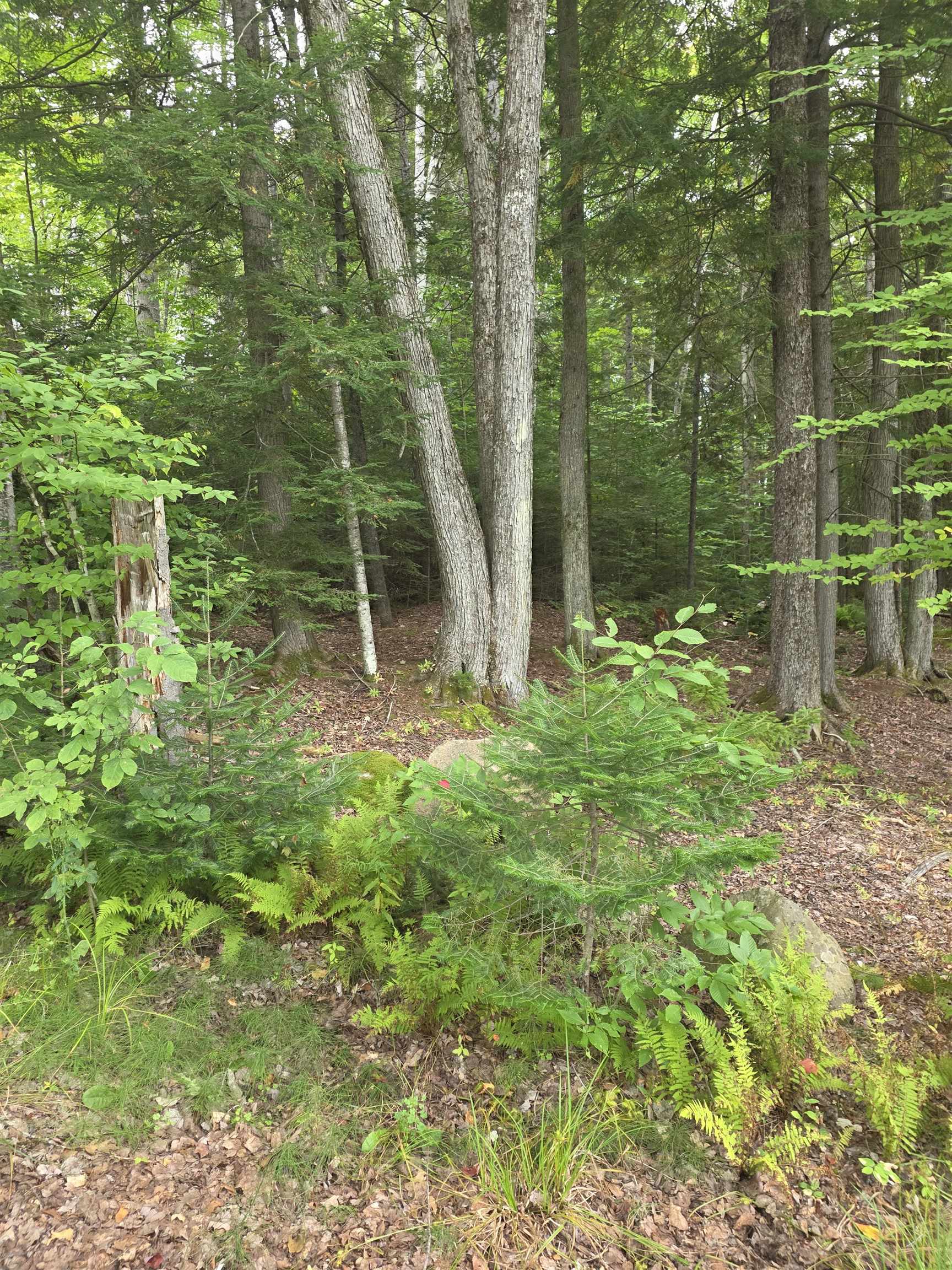 2nd lot  could be used for a  privacy,  a guest house, build a rental or build to sell
