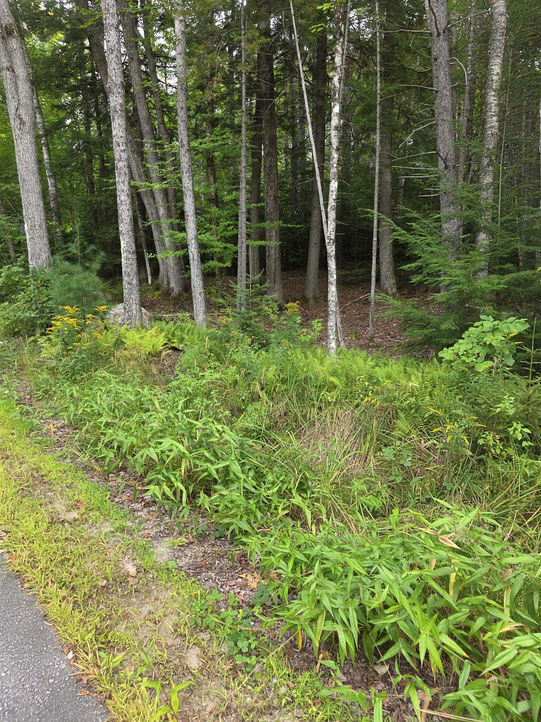 It has an old roughed in driveway with culverts at the roadway