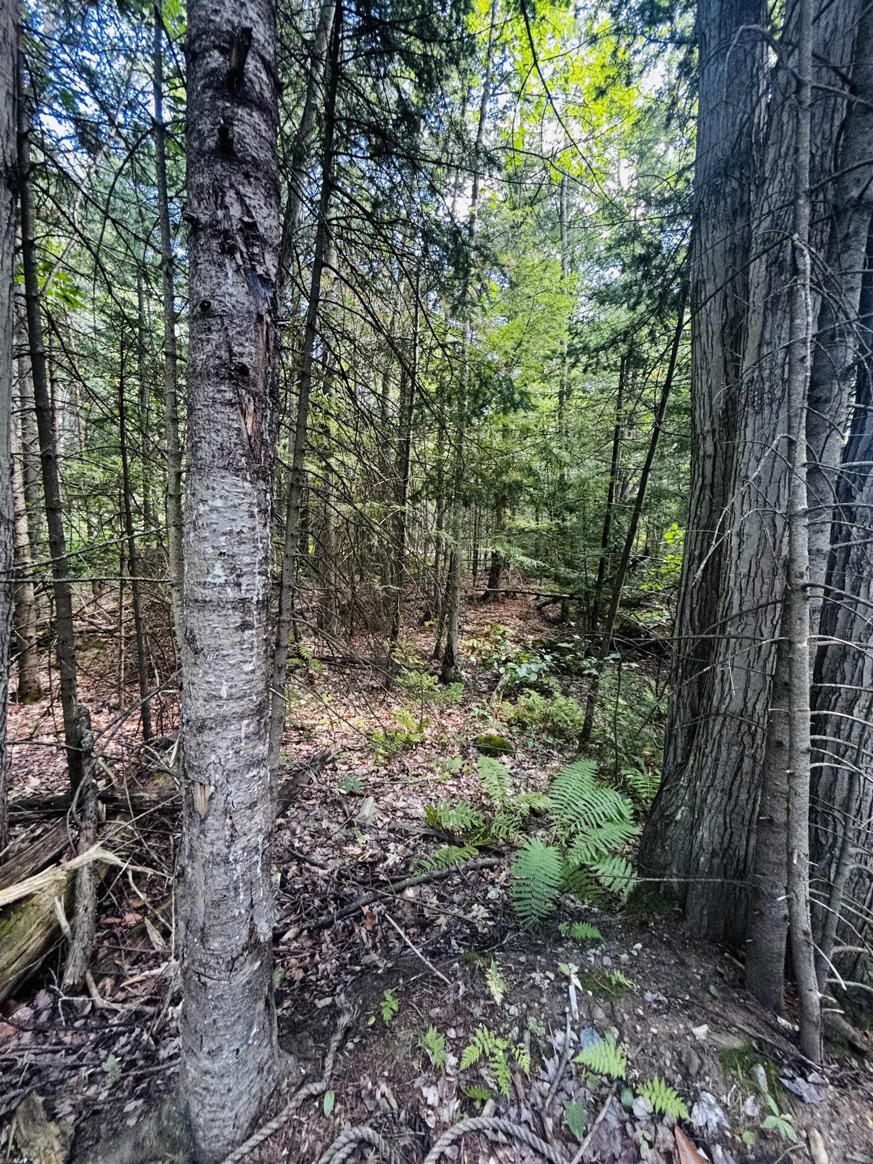 3rd image of Tbd Birch Hill Rd, New Durham, NH 03855 | MLS# 5105690