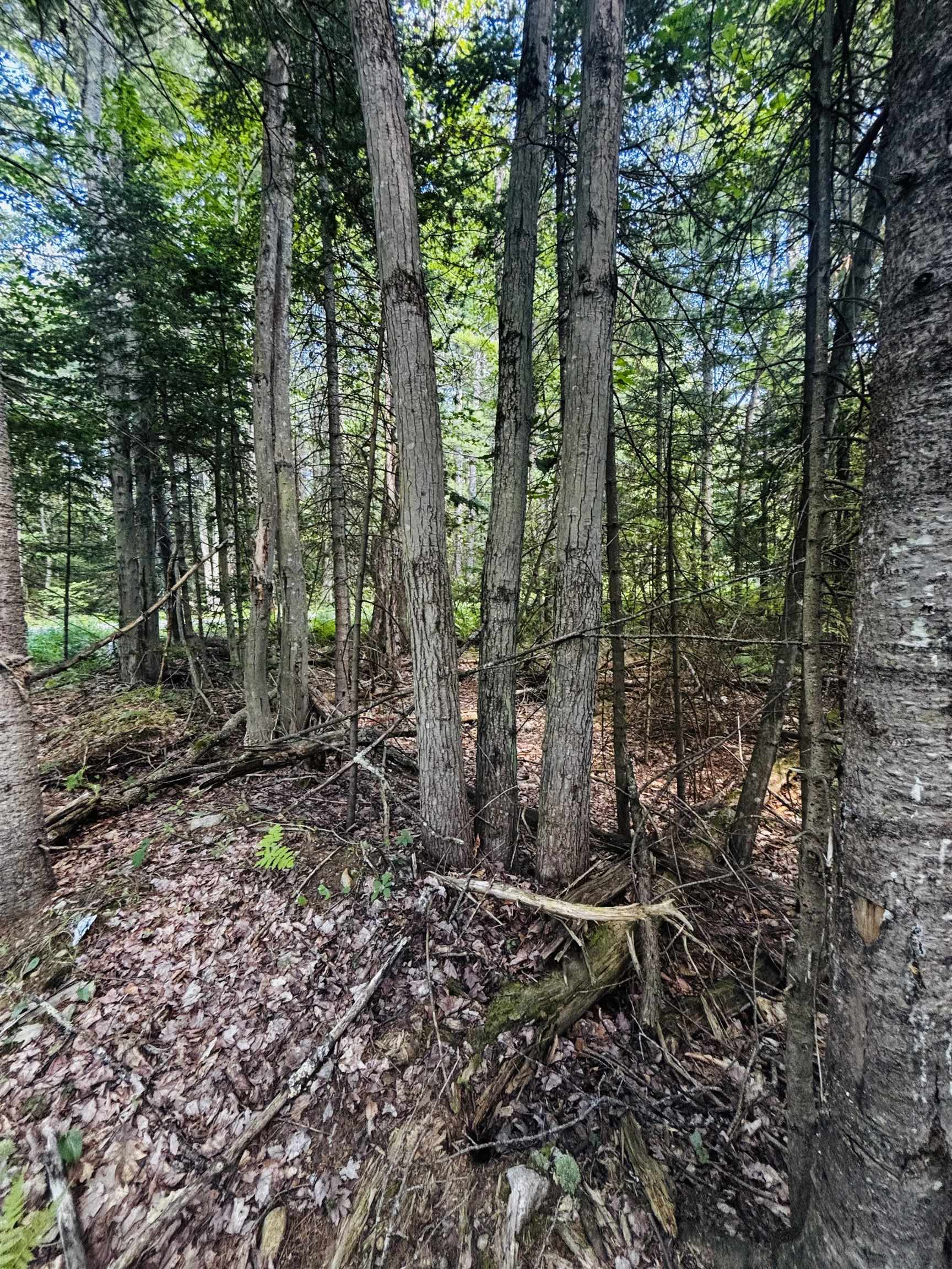4th image of Tbd Birch Hill Rd, New Durham, NH 03855 | MLS# 5105690