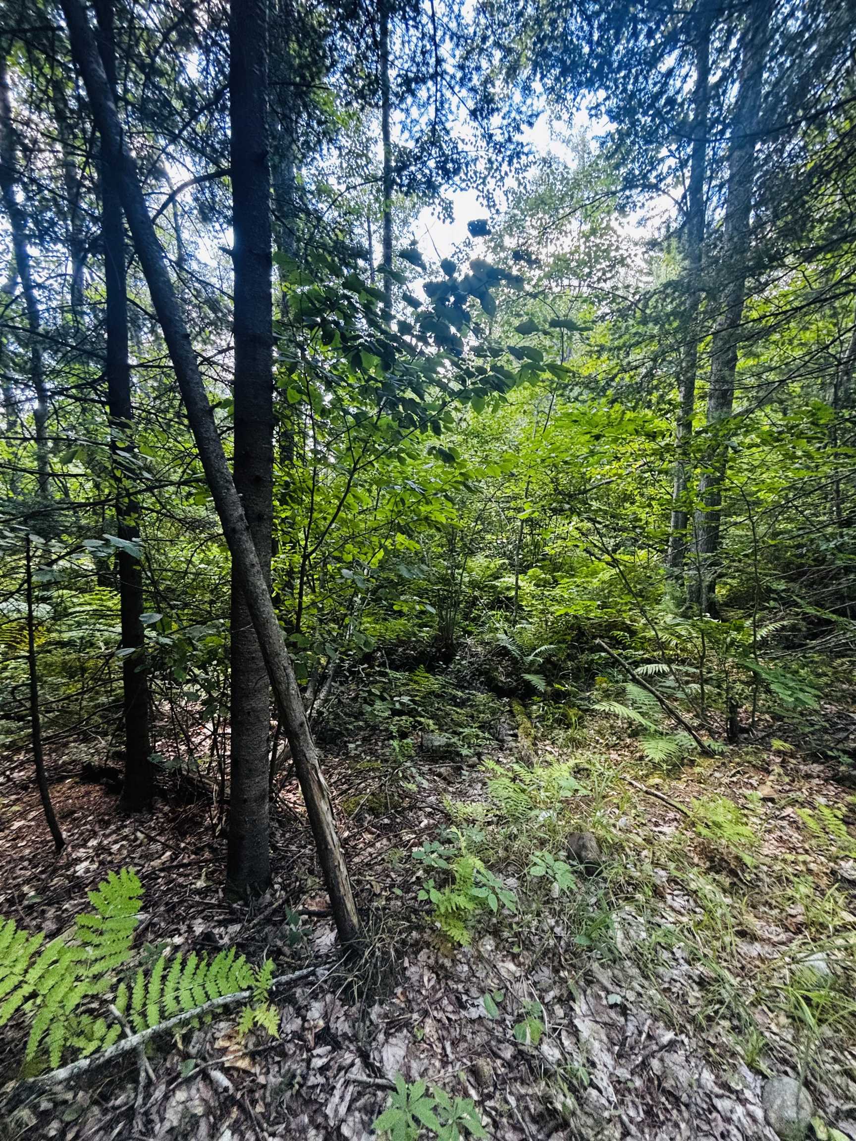 5th image of Tbd Birch Hill Rd, New Durham, NH 03855 | MLS# 5105690