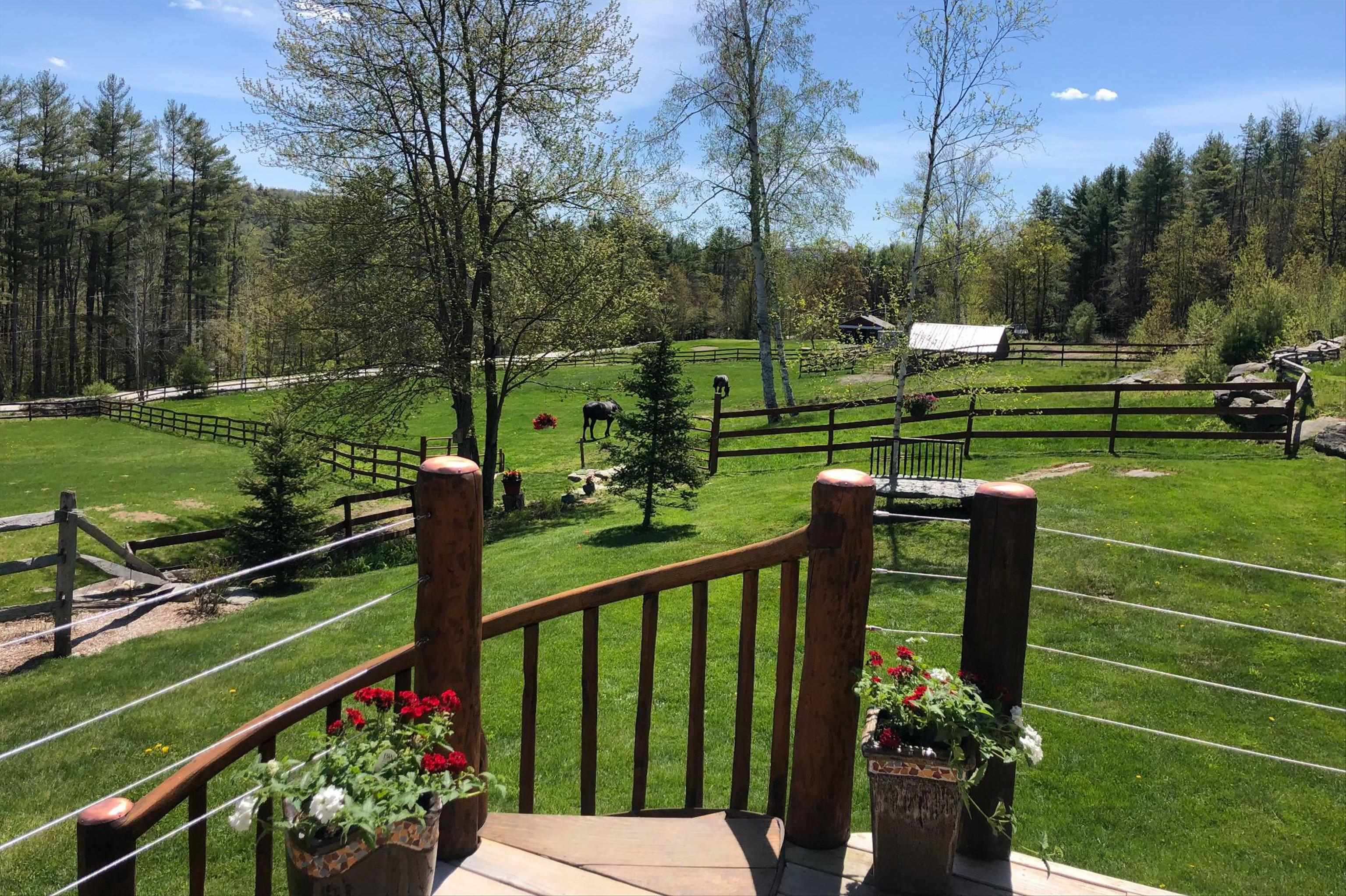 Enjoy the peaceful surroundings...