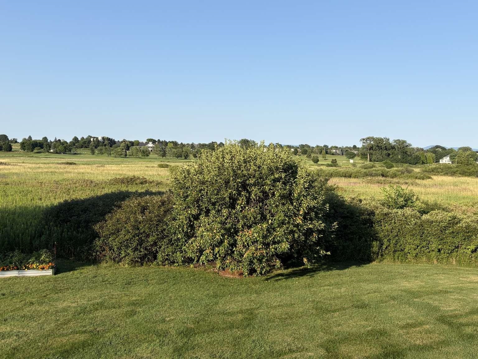 20th image of 32 Four Sisters Rd, South Burlington, VT 05403 | MLS# 5105793