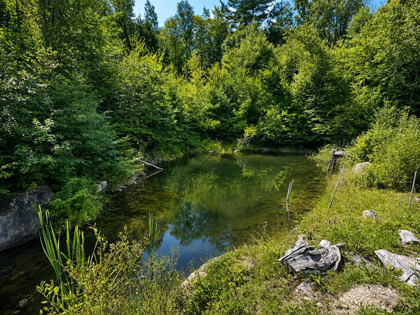 90 Green Woods Rd, Richmond, NH 03470