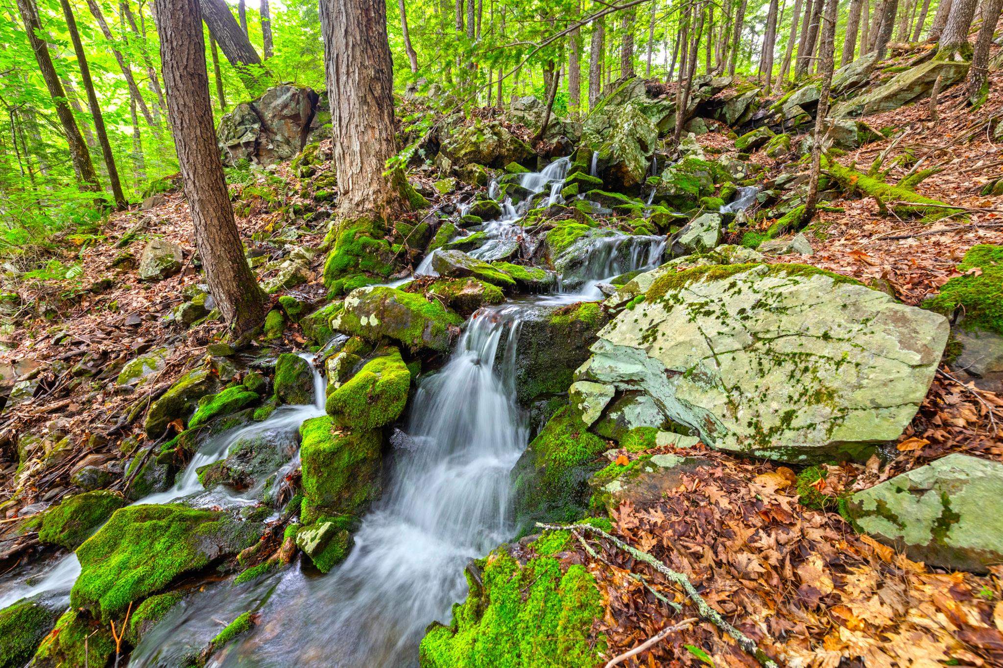 Your very own waterfall, Cotton Falls on the property