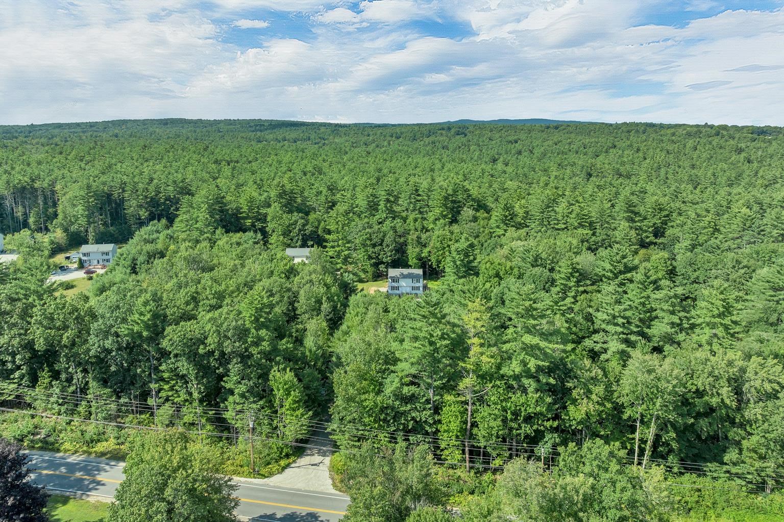 Surrounded by green space