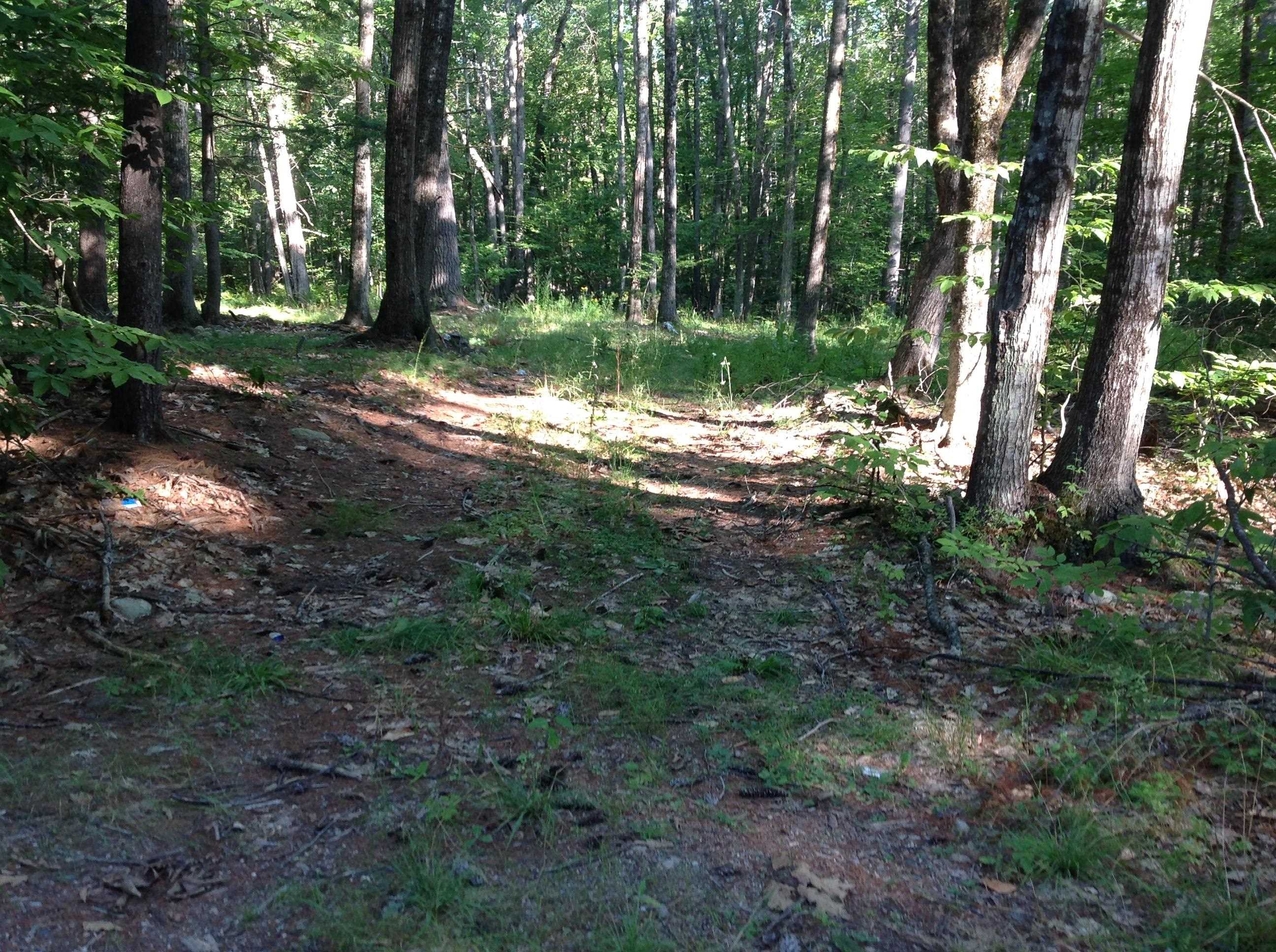 29 Stoneview Rd, Ossipee, NH 03864