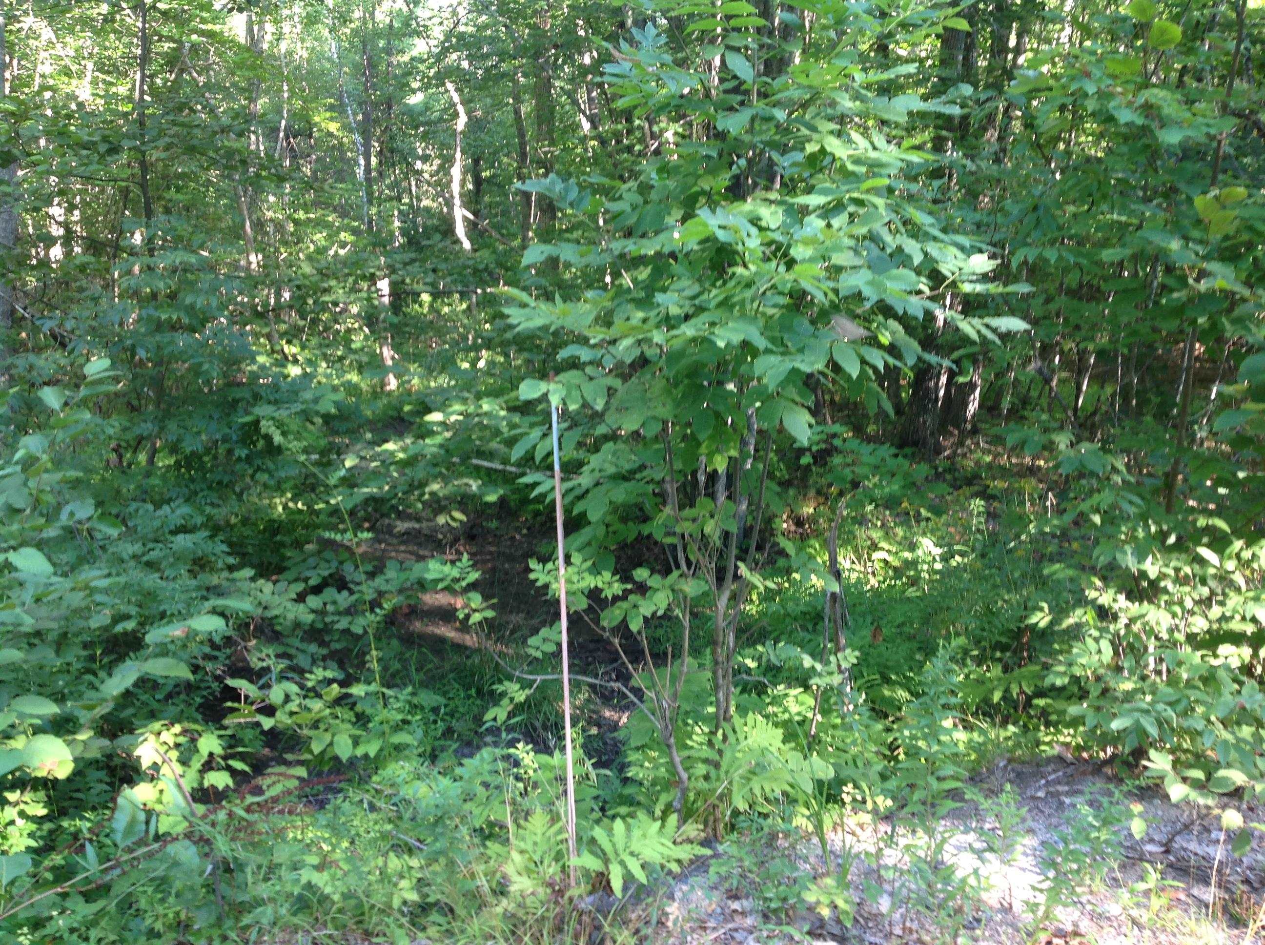 29 Stoneview Rd, Ossipee, NH 03864