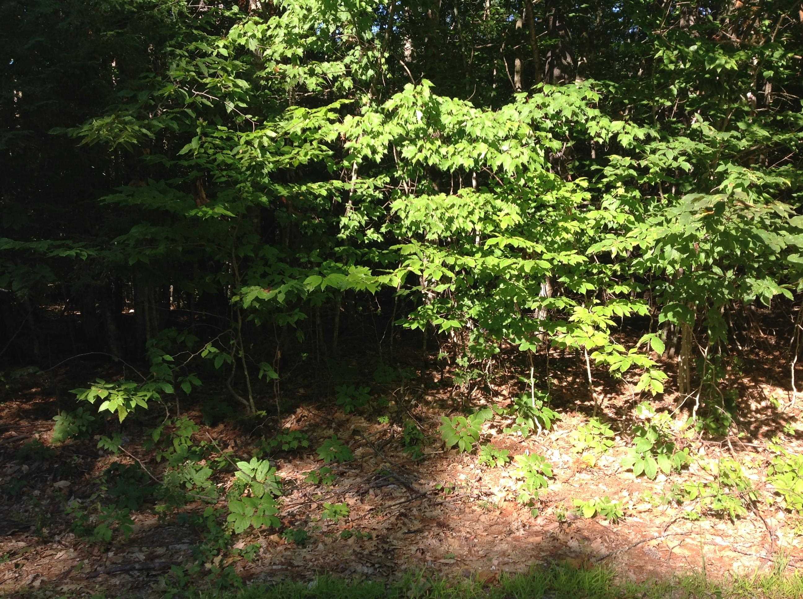 29 Stoneview Rd, Ossipee, NH 03864