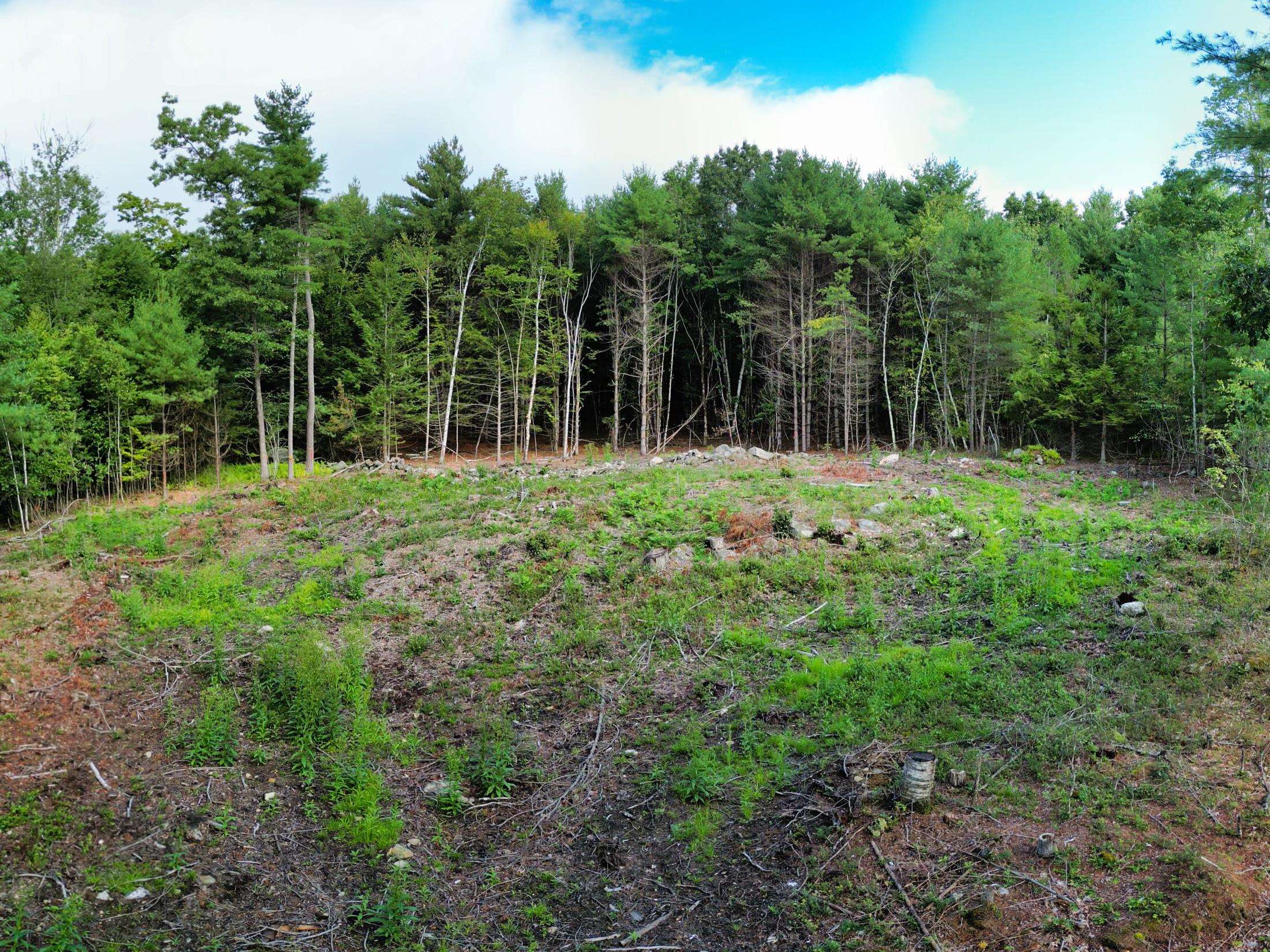 Lot 1 Owls Nest Ln, Dunbarton, NH 03046
