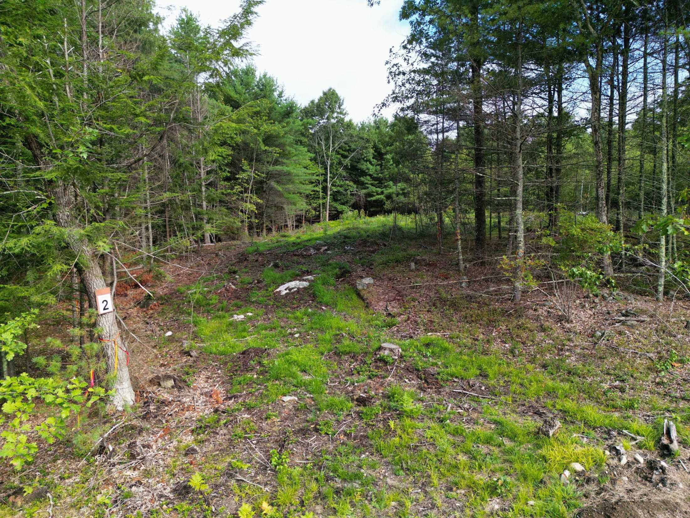 Lot 2 Owls Nest Ln, Dunbarton, NH 03046
