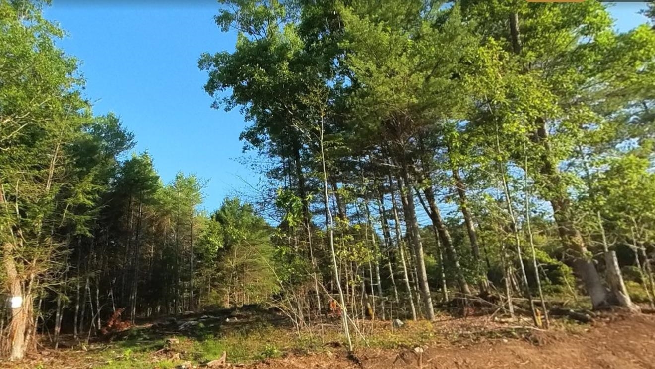 Lot 2 Owls Nest Ln, Dunbarton, NH 03048