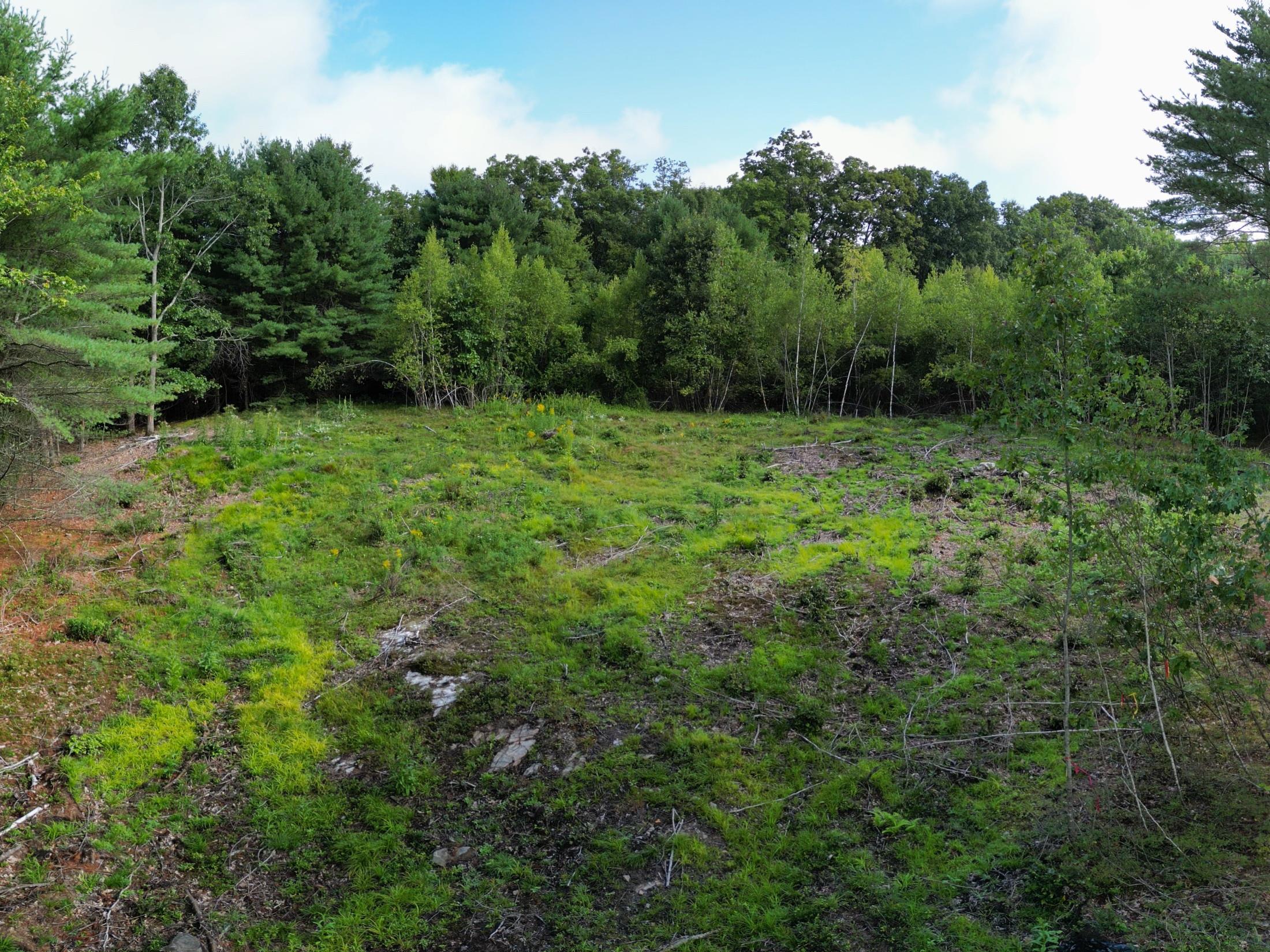 Lot 2 Owls Nest Ln, Dunbarton, NH 03046