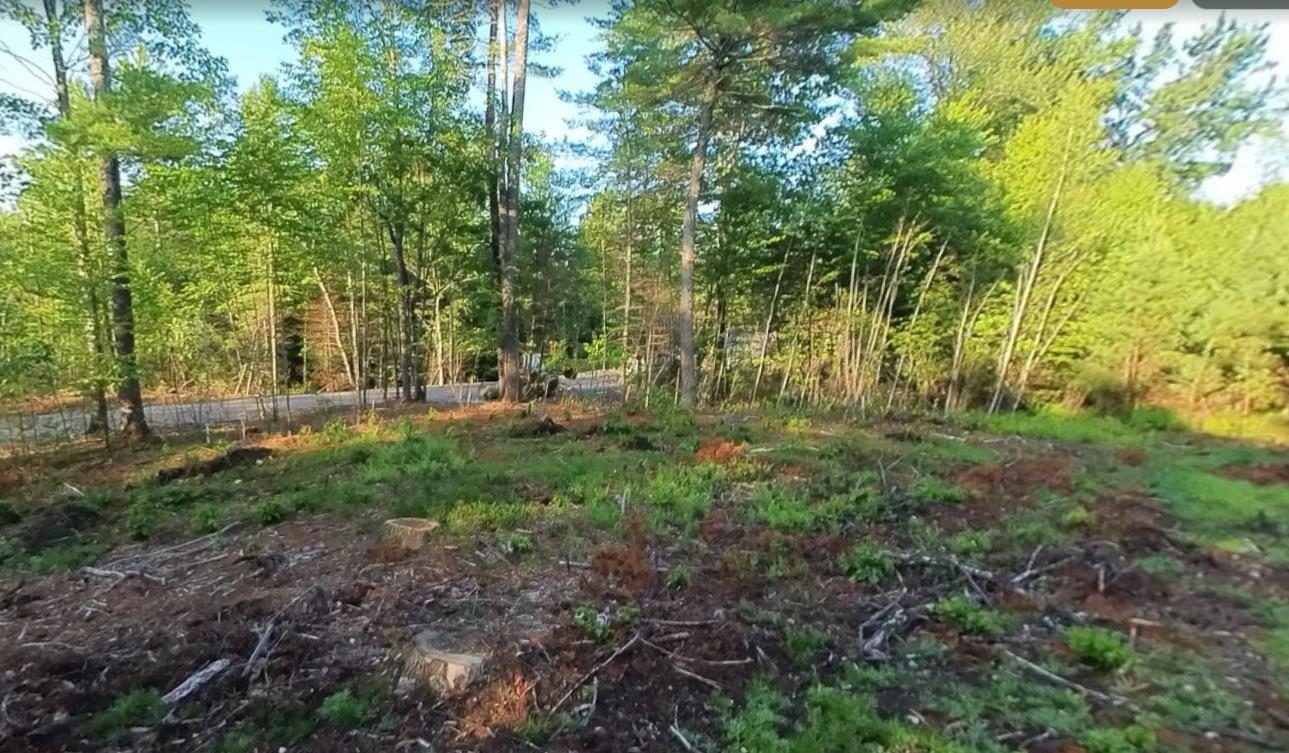 Lot 3 Owls Nest Ln, Dunbarton, NH 03048