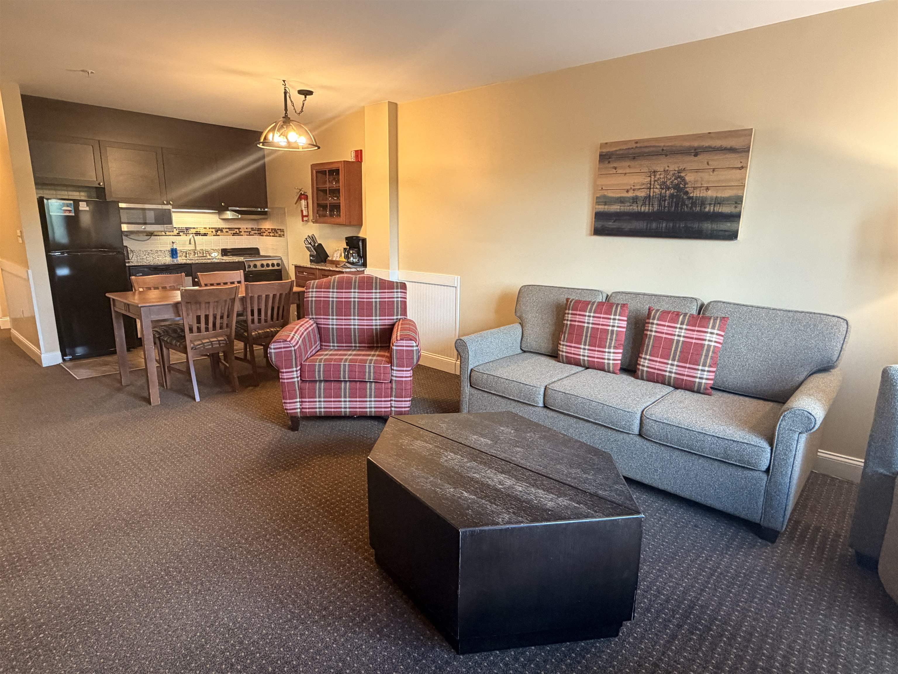 Living room with pull-out couch 26029204