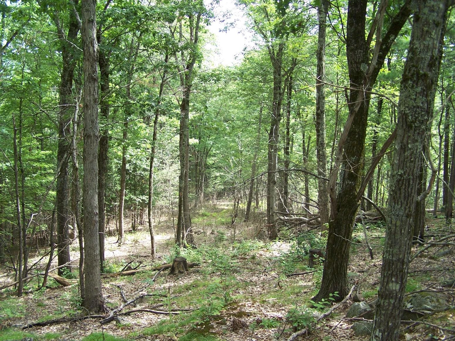 Photo 2 of Sale Pending at 00 Nh Rt 149 Rte, Weare, NH 03281 | MLS# 5105937 | Listing updated on 2026-09-28