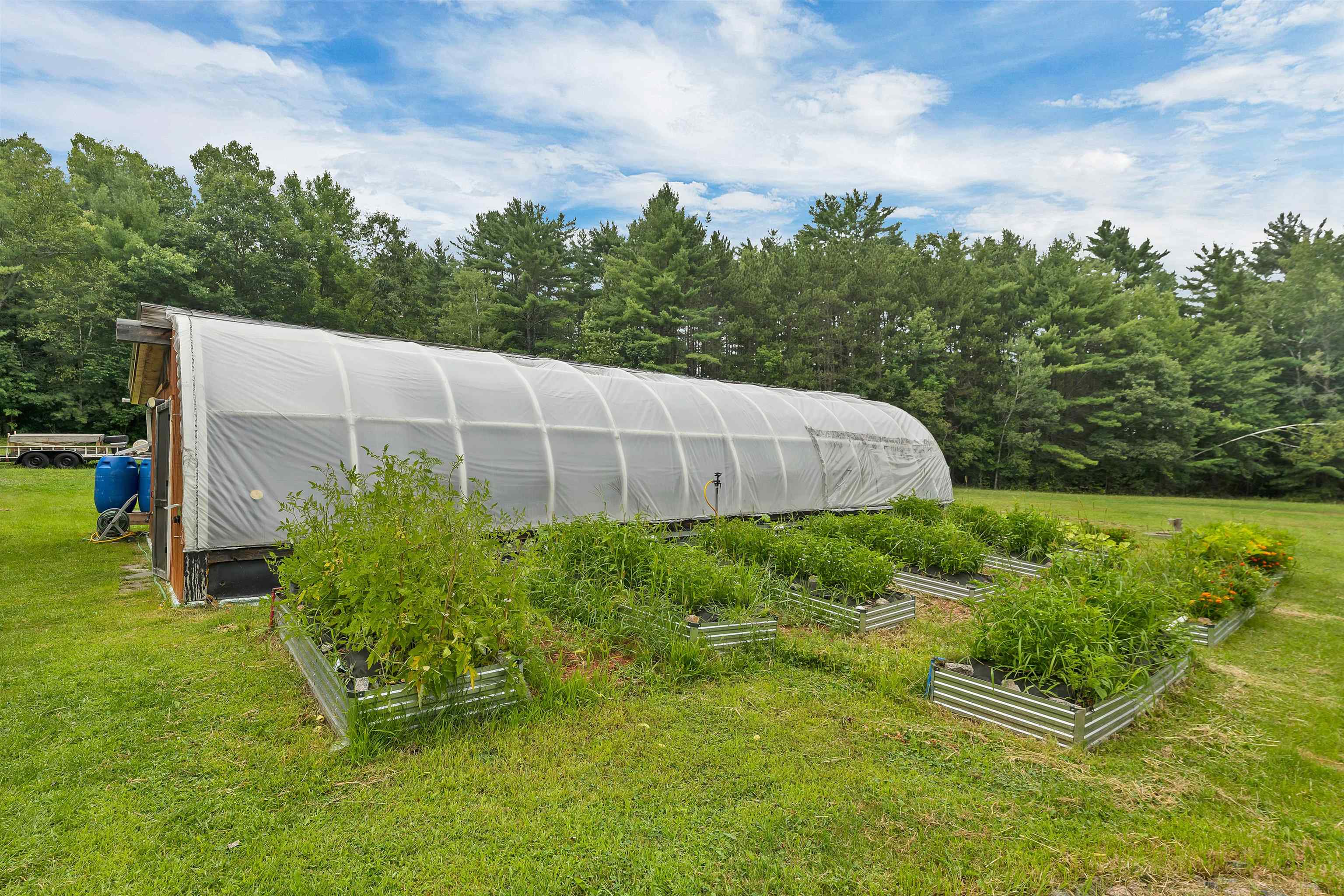 Fantastic 25 x 50 foot greenhouse